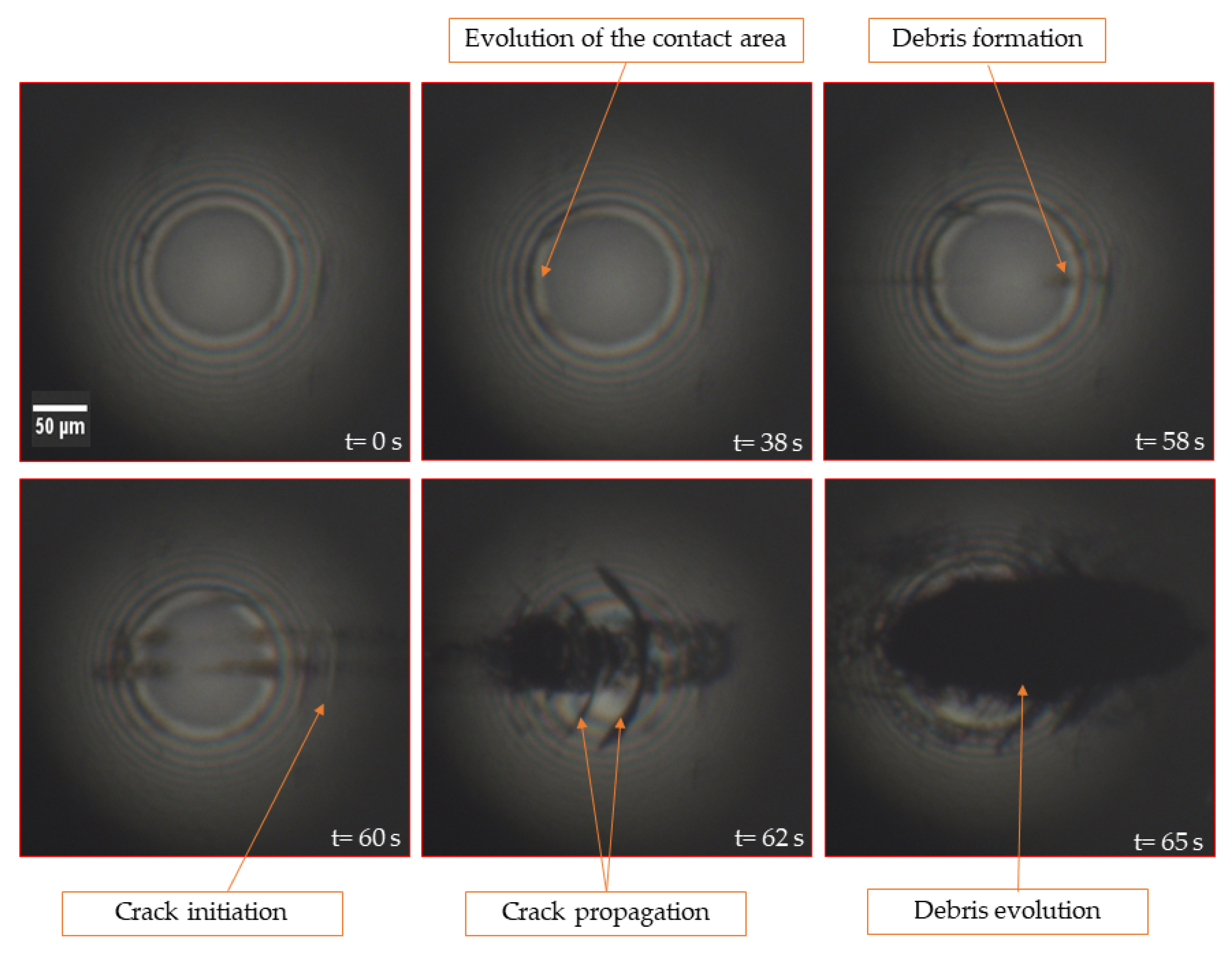 Lubricants 08 00047 g006 Lubricants 08 00047 g006