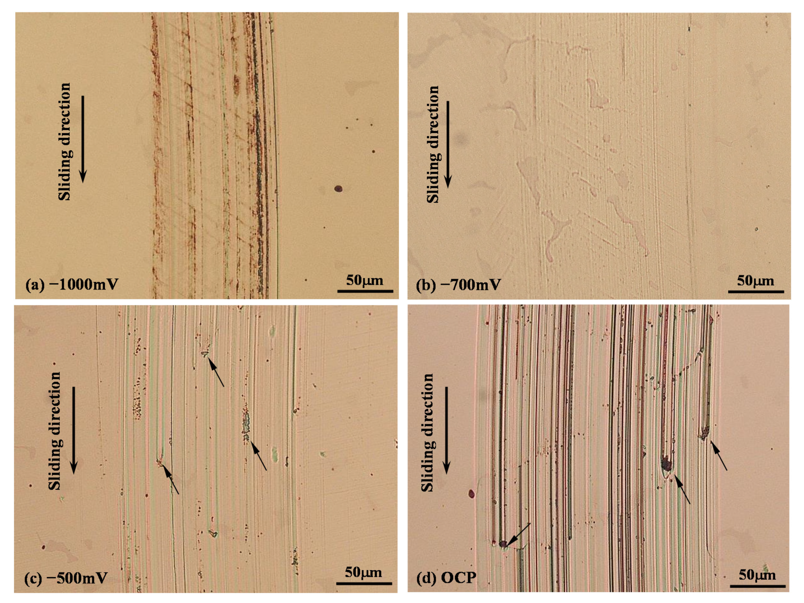 Lubricants 08 00101 g007 Lubricants 08 00101 g007