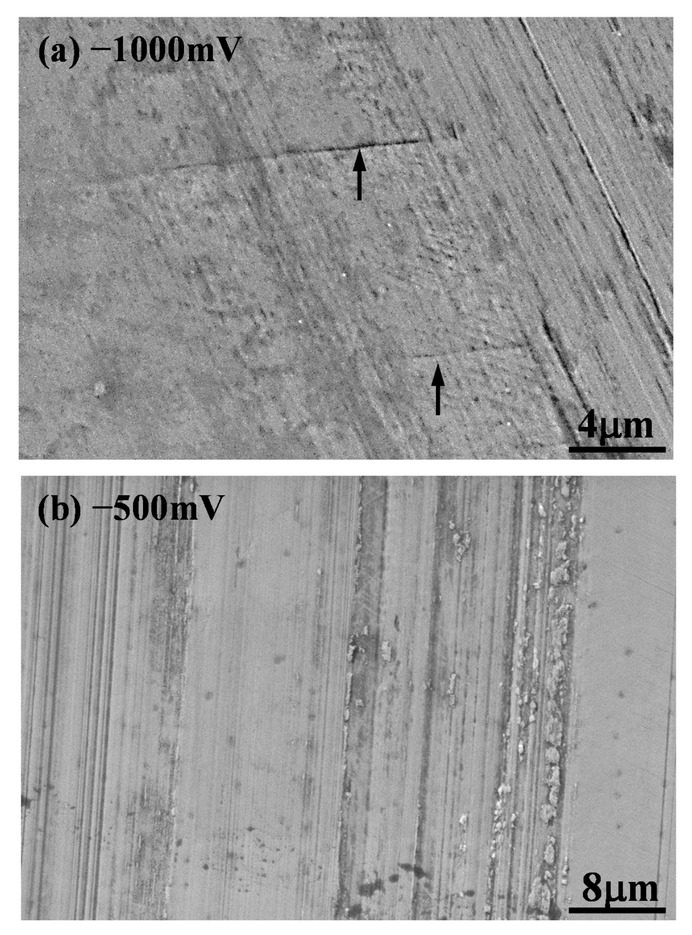 Lubricants 08 00101 g008 Lubricants 08 00101 g008