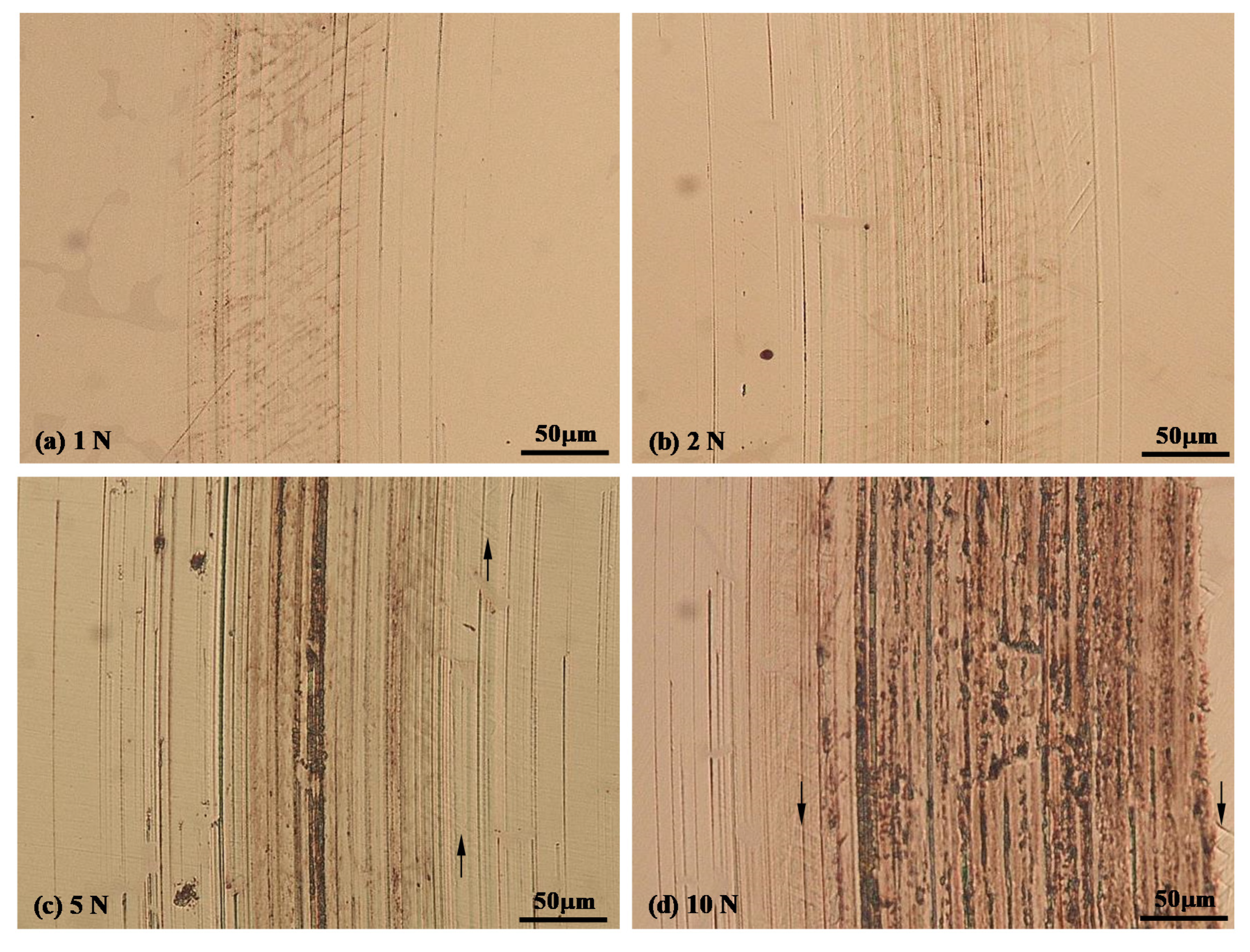 Lubricants 08 00101 g009 Lubricants 08 00101 g009