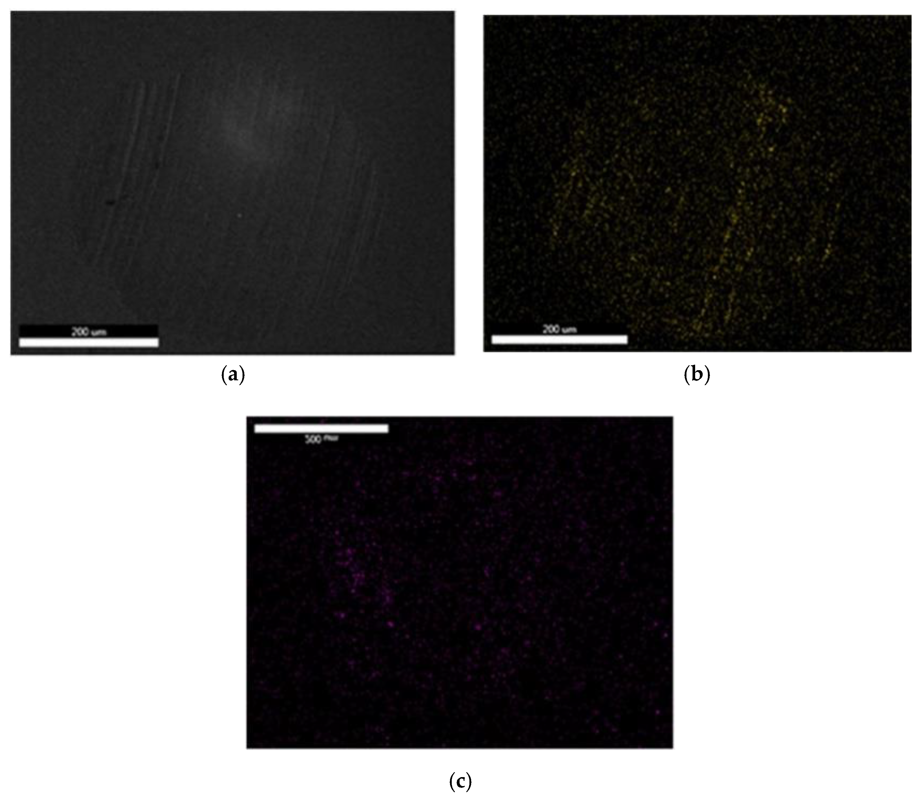 Lubricants 09 00009 g012