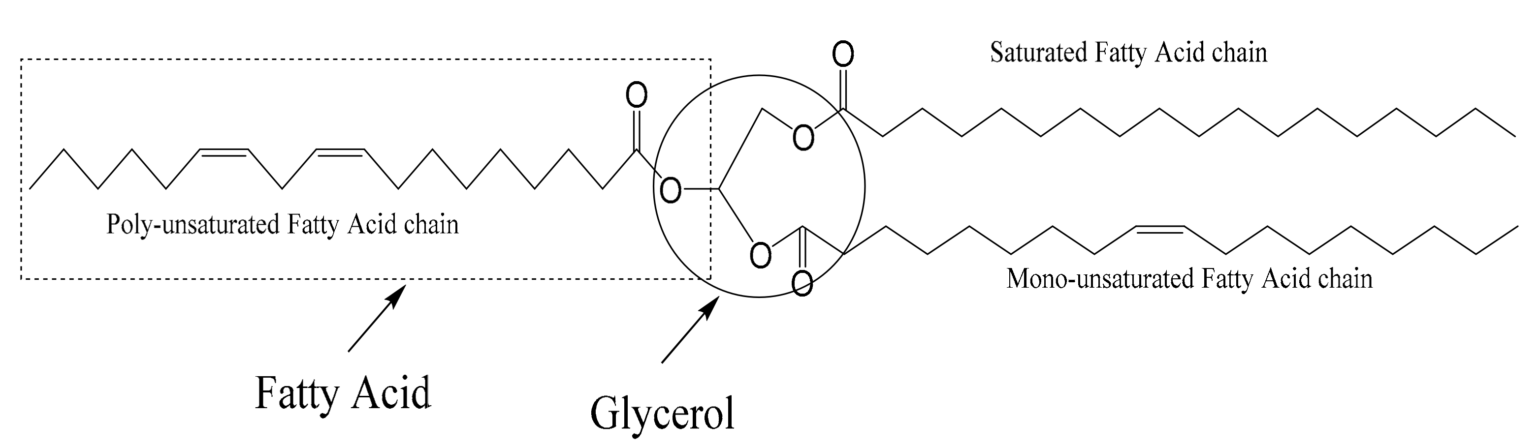Lubricants 09 00027 g001