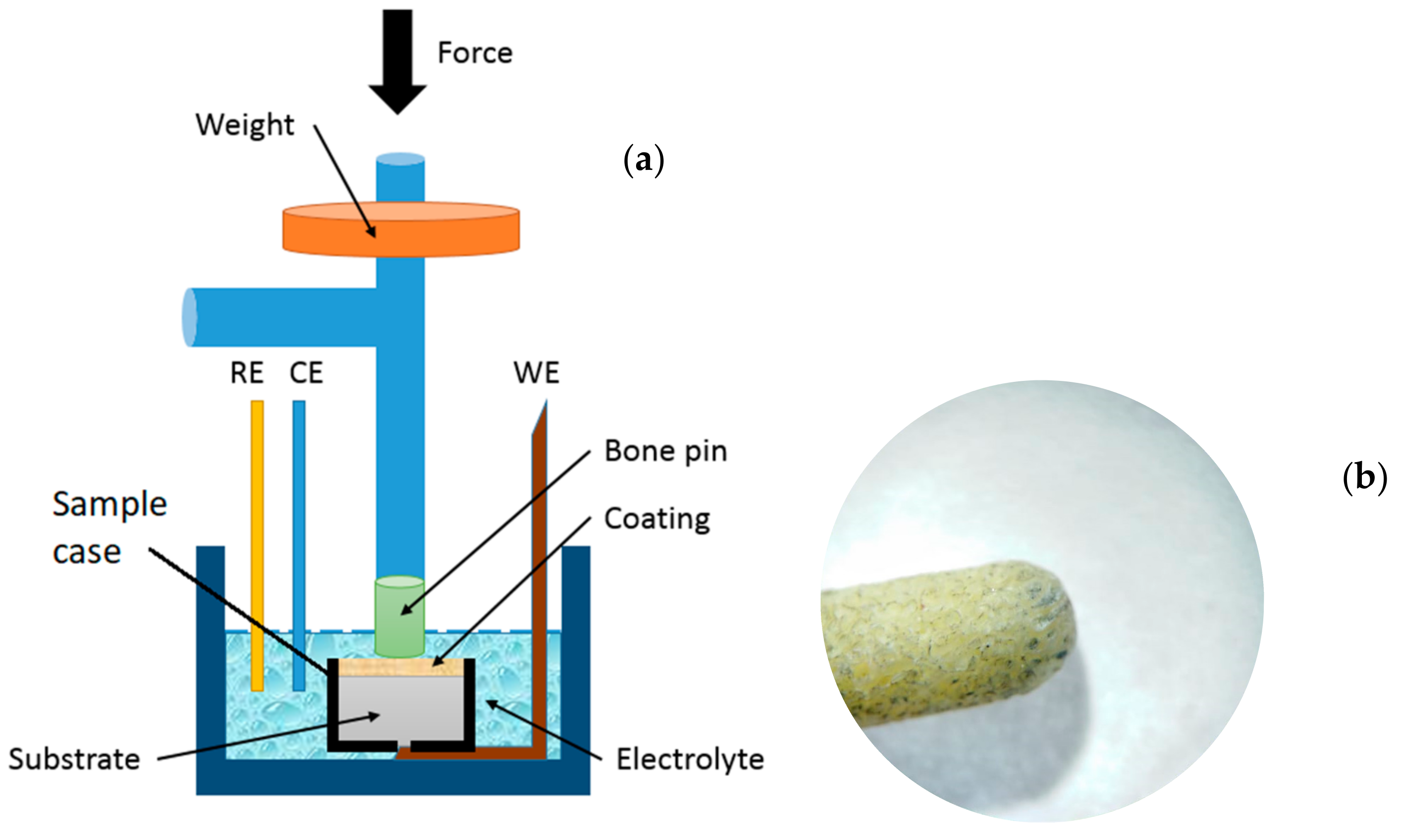 Lubricants 09 00049 g002 Lubricants 09 00049 g002