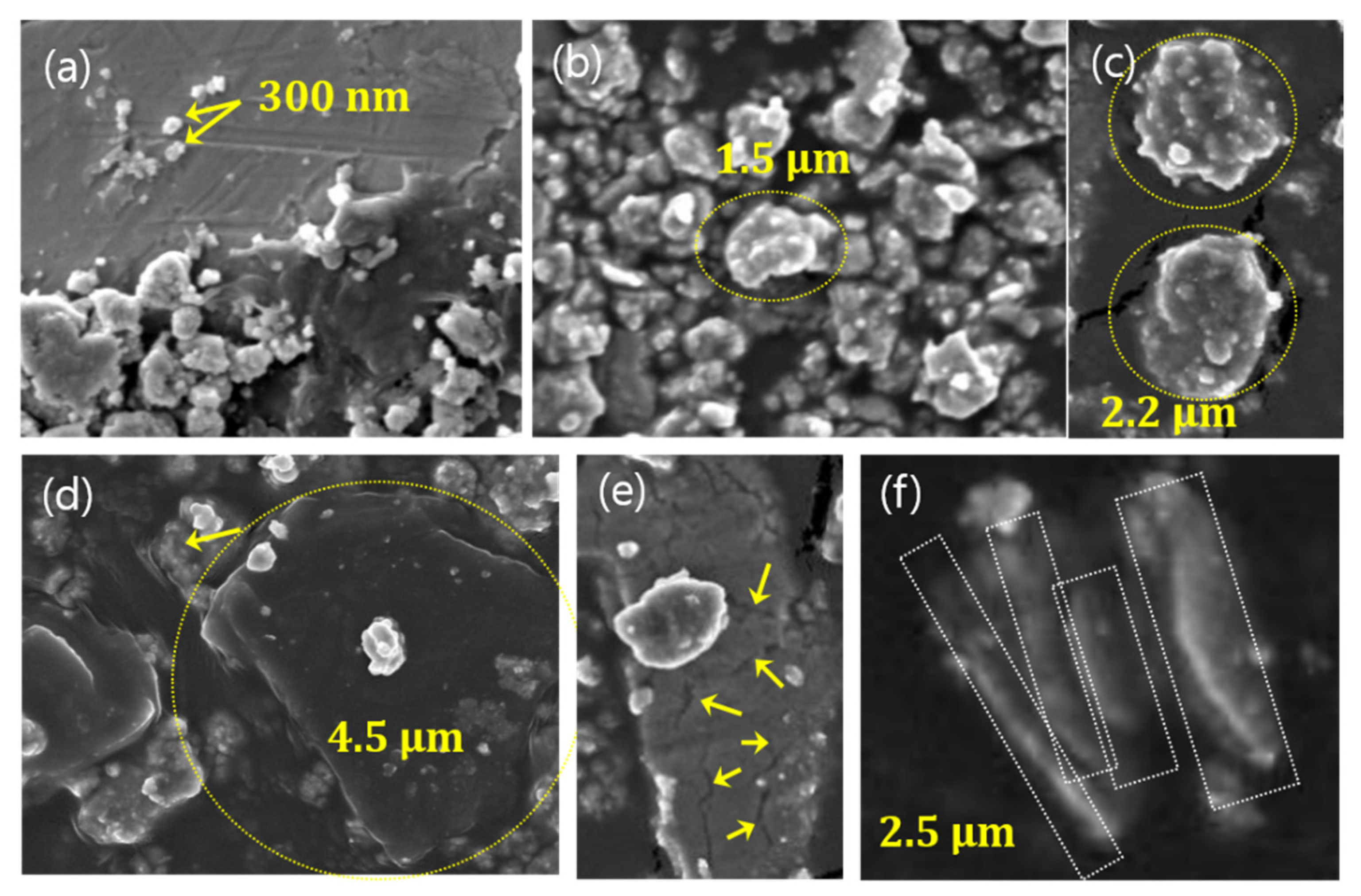 Lubricants 09 00118 g006