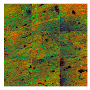 Lubricants 09 00118 i001