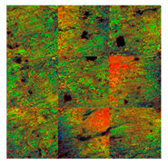 Lubricants 09 00118 i003