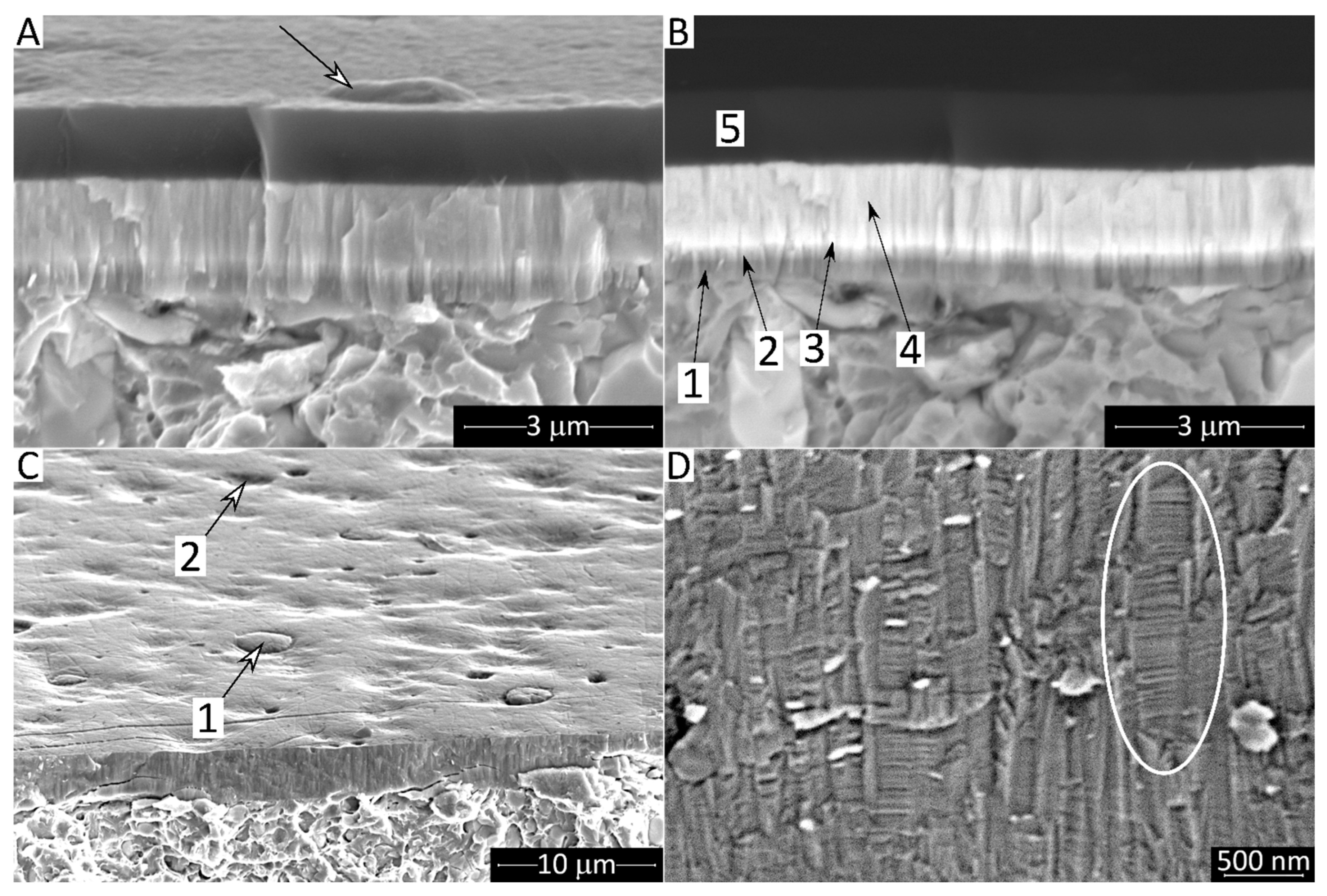 Lubricants 10 00005 g004