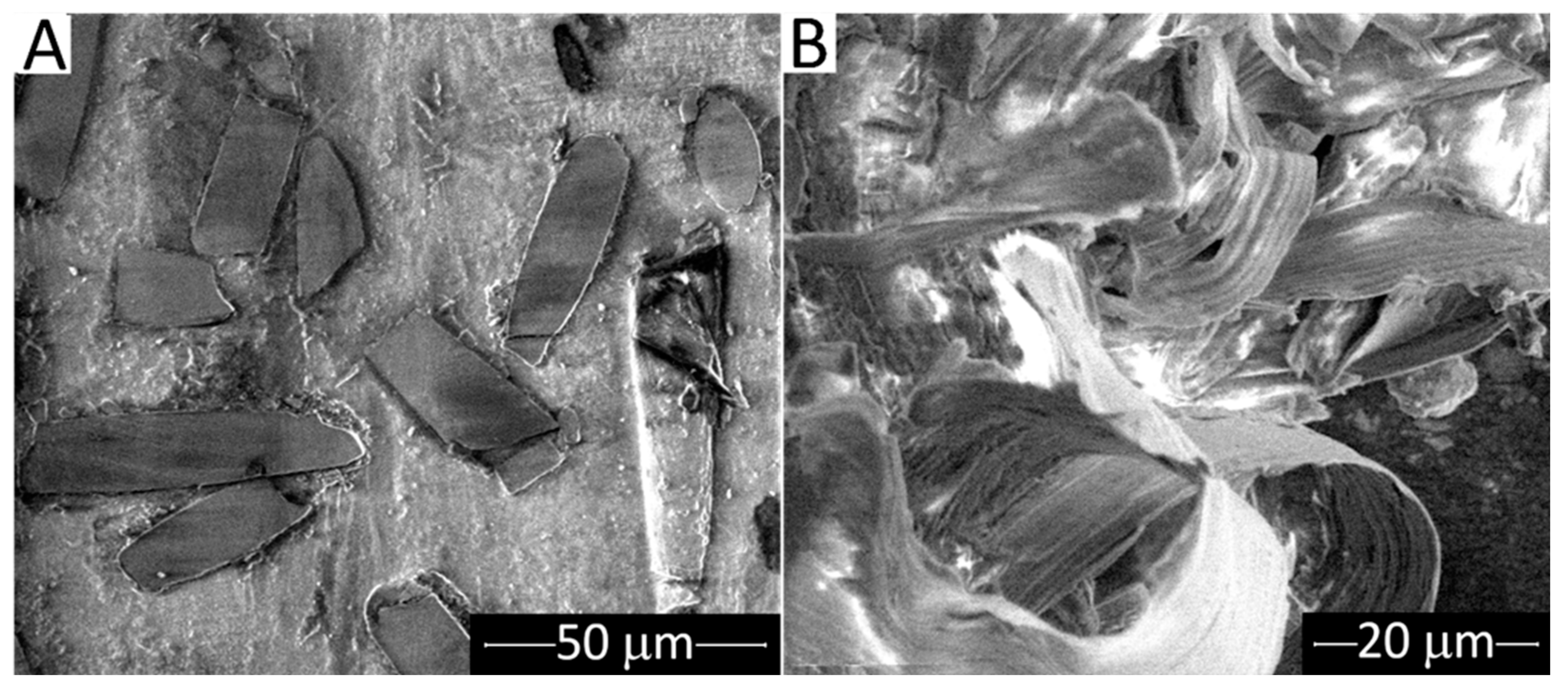 Lubricants 10 00005 g015