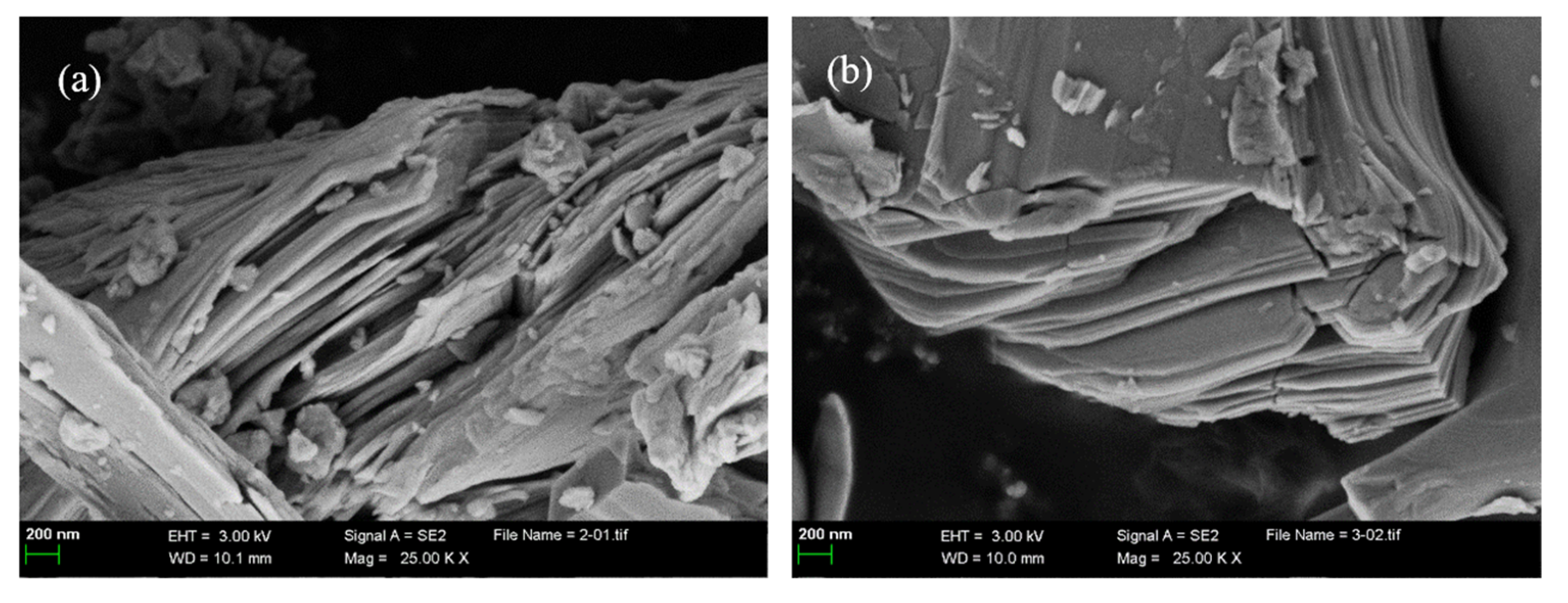 Lubricants 10 00033 g001