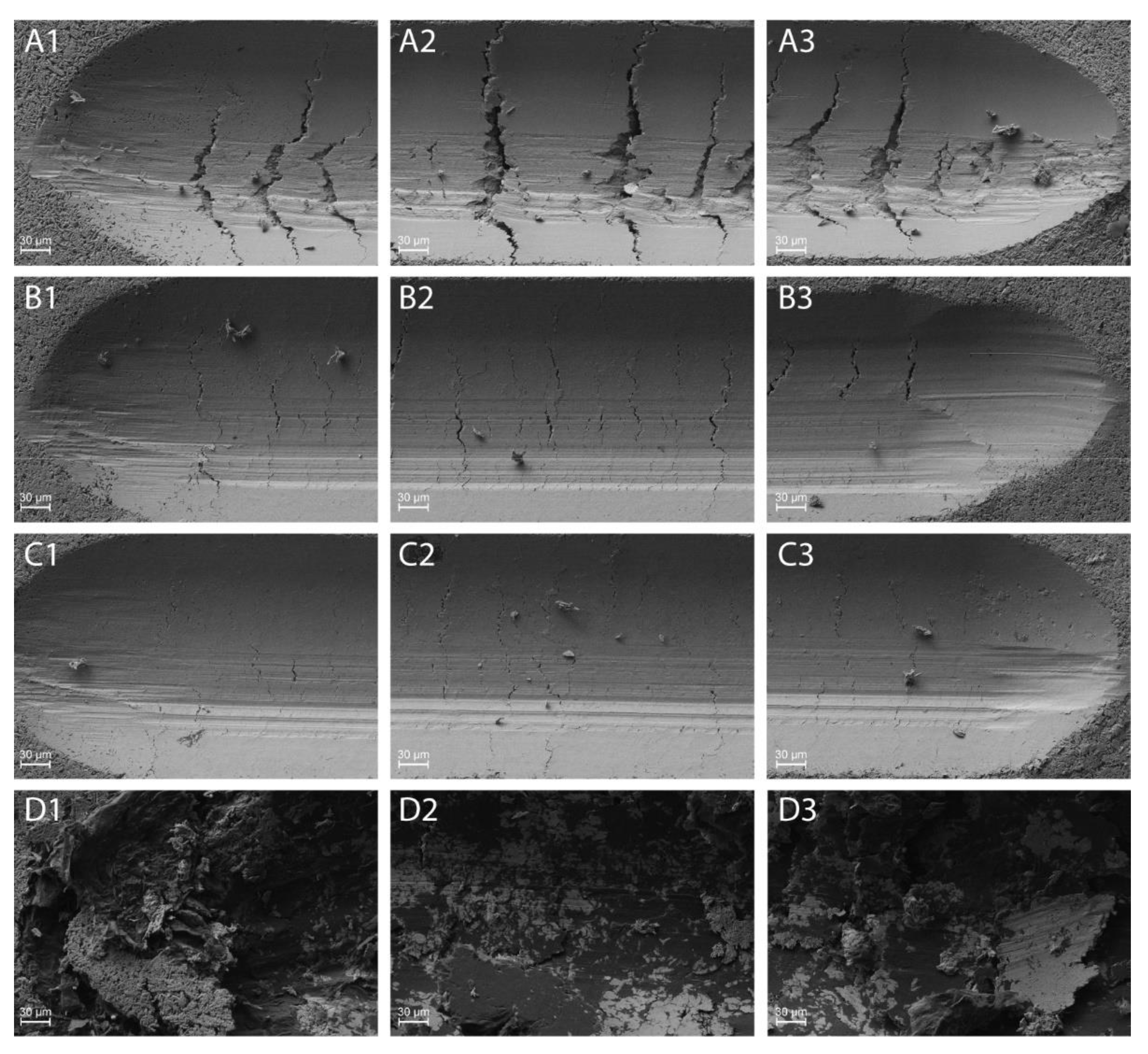 Lubricants 10 00035 g015