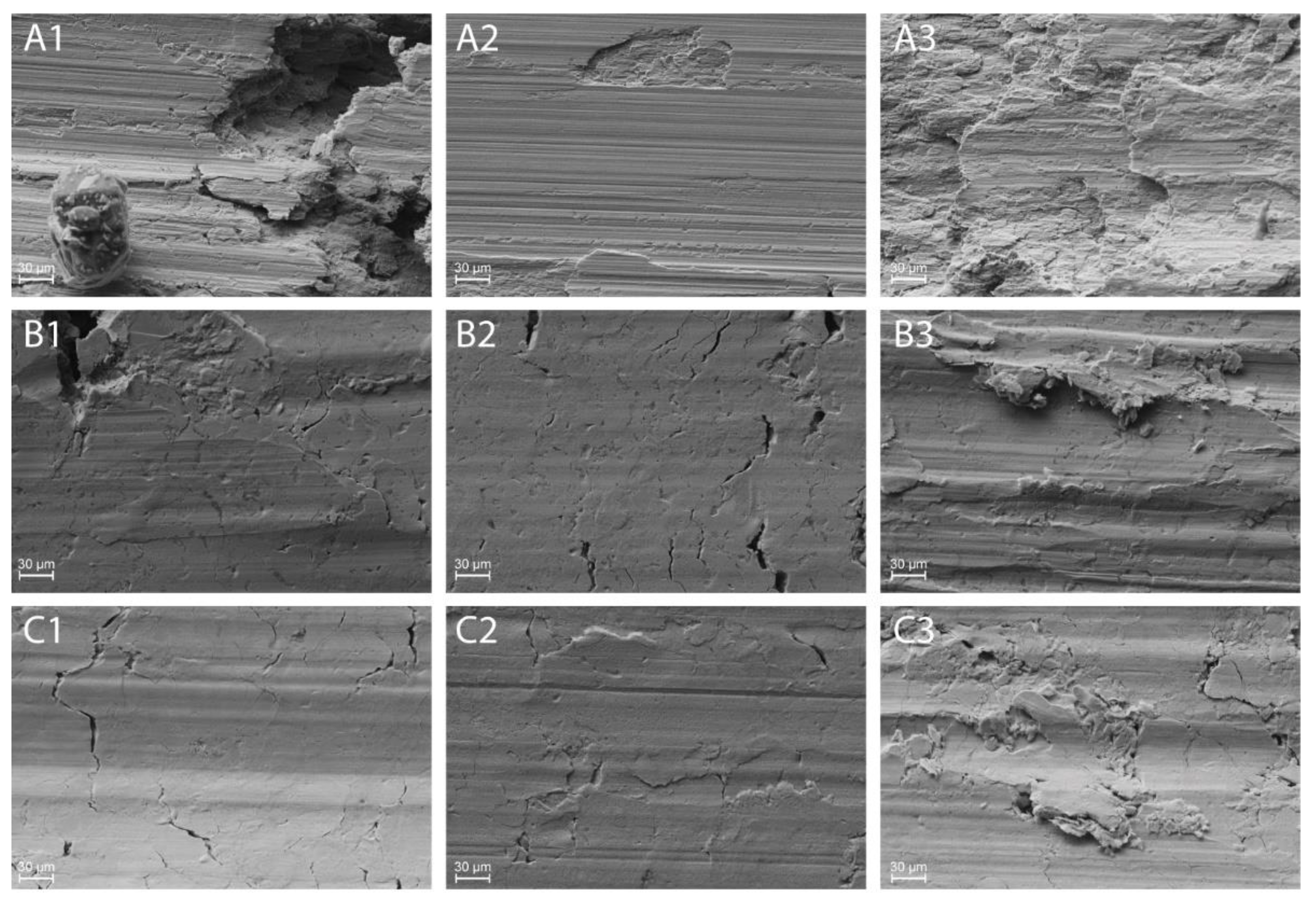 Lubricants 10 00035 g018a