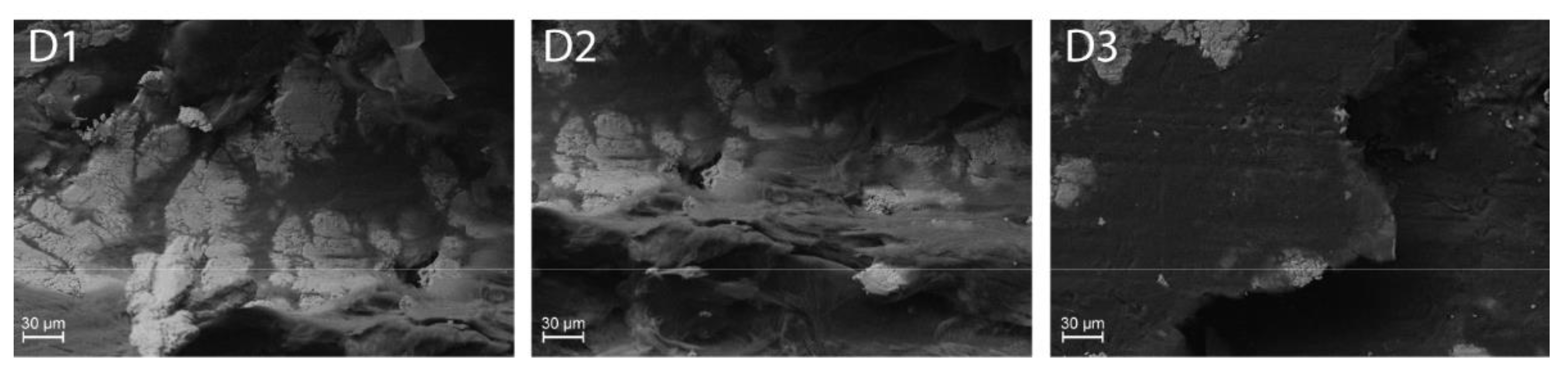 Lubricants 10 00035 g018b