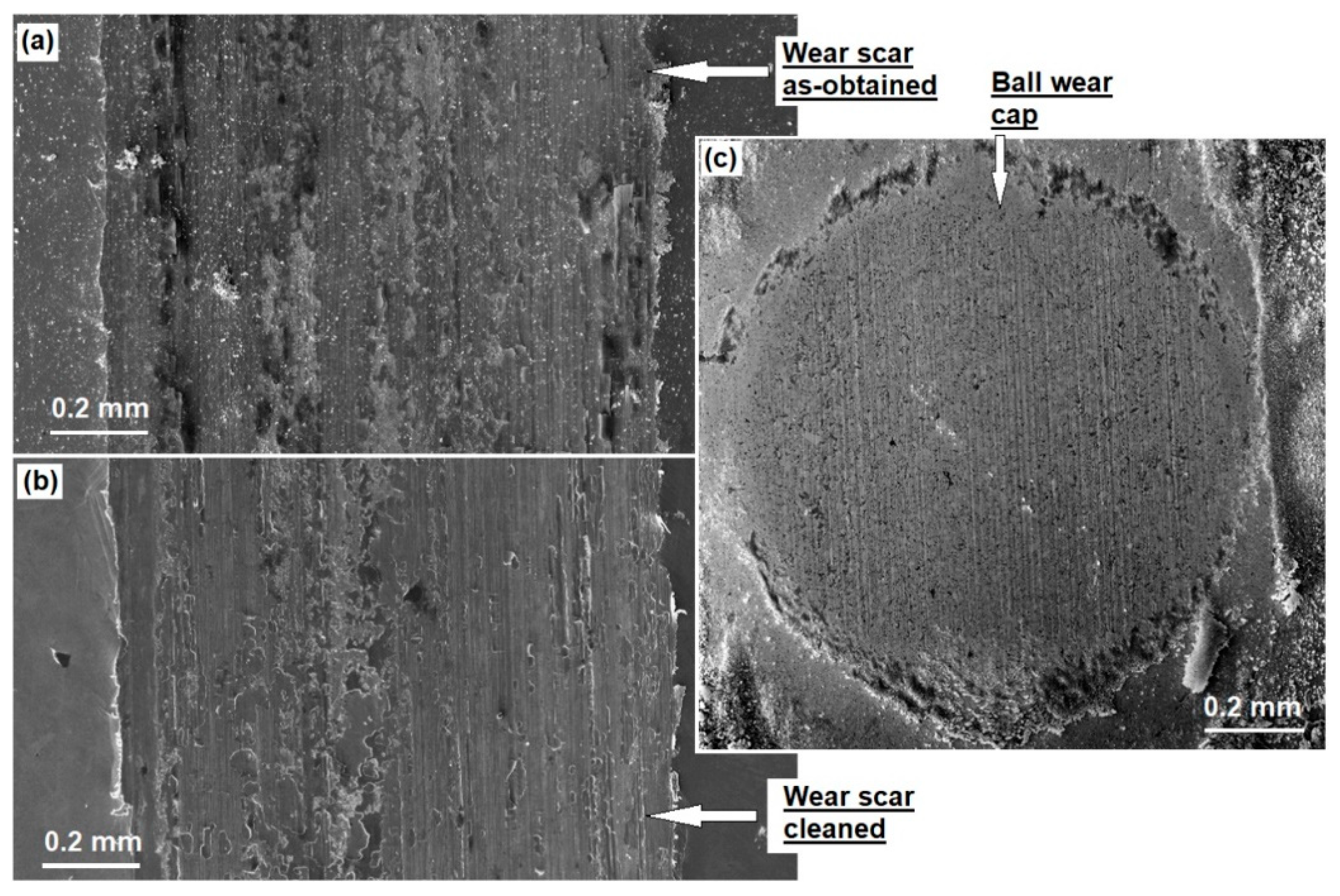 Lubricants 10 00037 g003