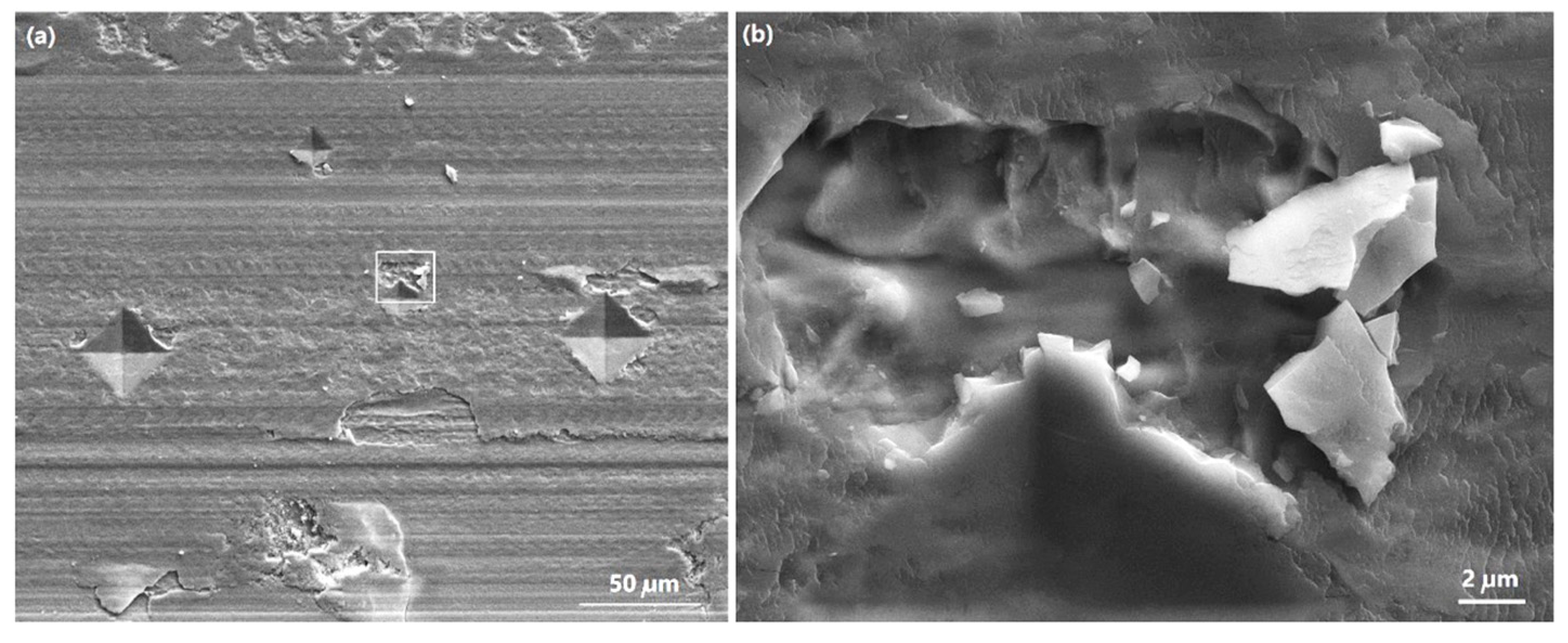 Lubricants 10 00037 g007