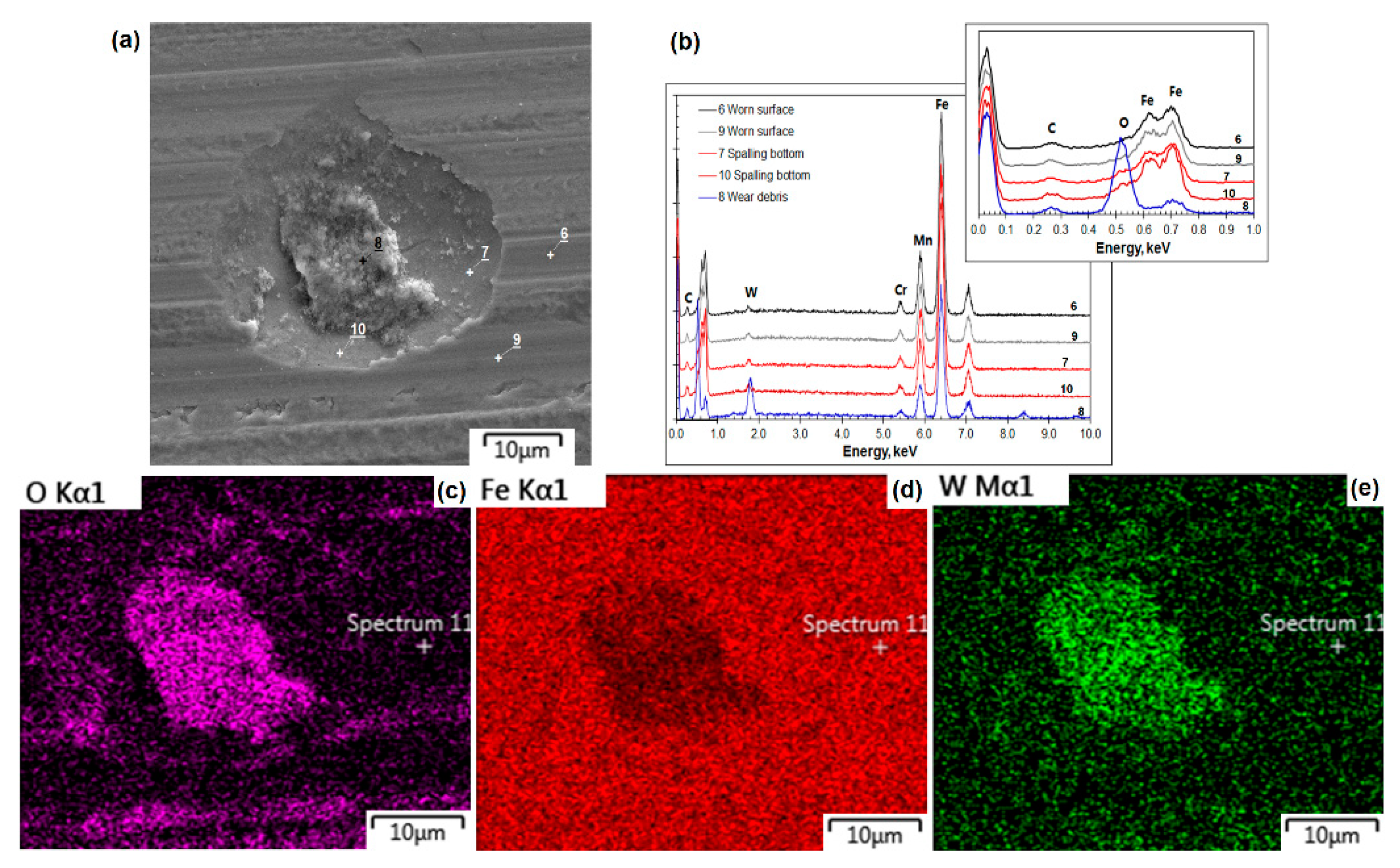 Lubricants 10 00037 g008