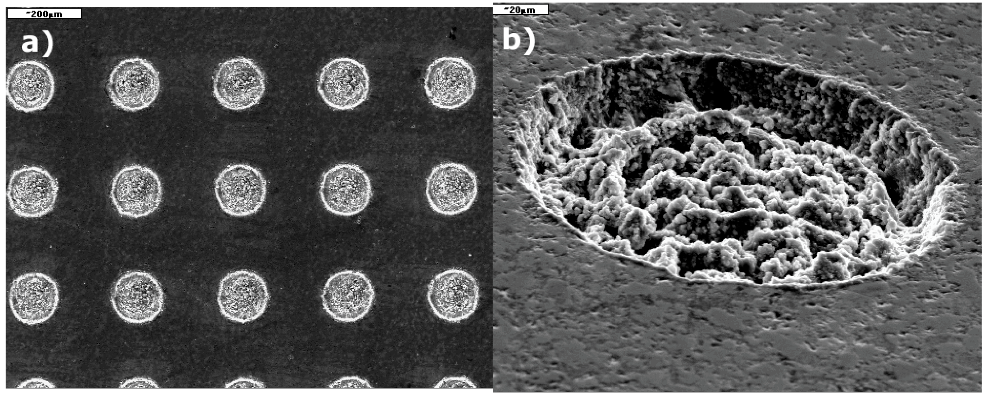 Lubricants 10 00080 g005 Lubricants 10 00080 g005