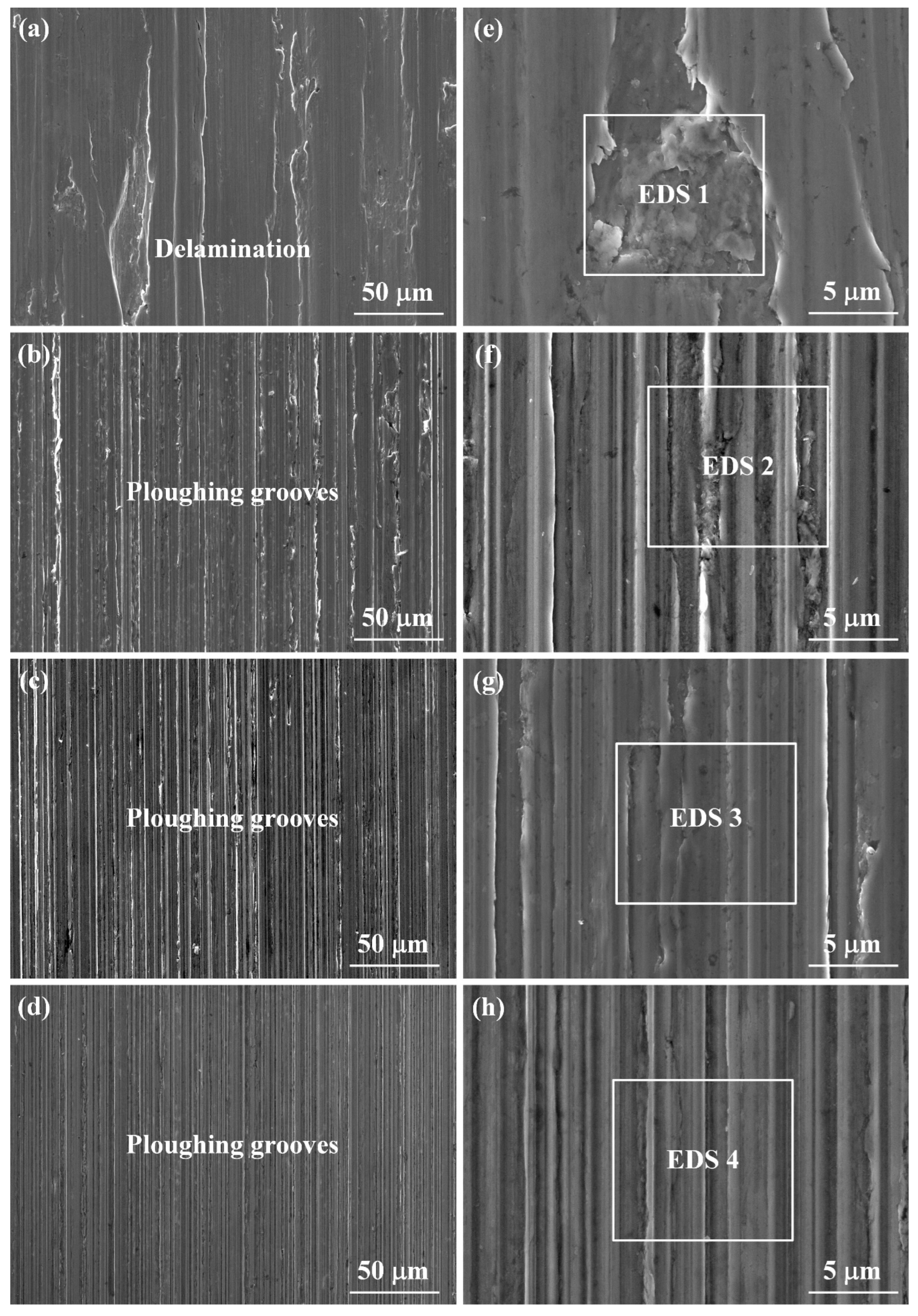Lubricants 10 00109 g007