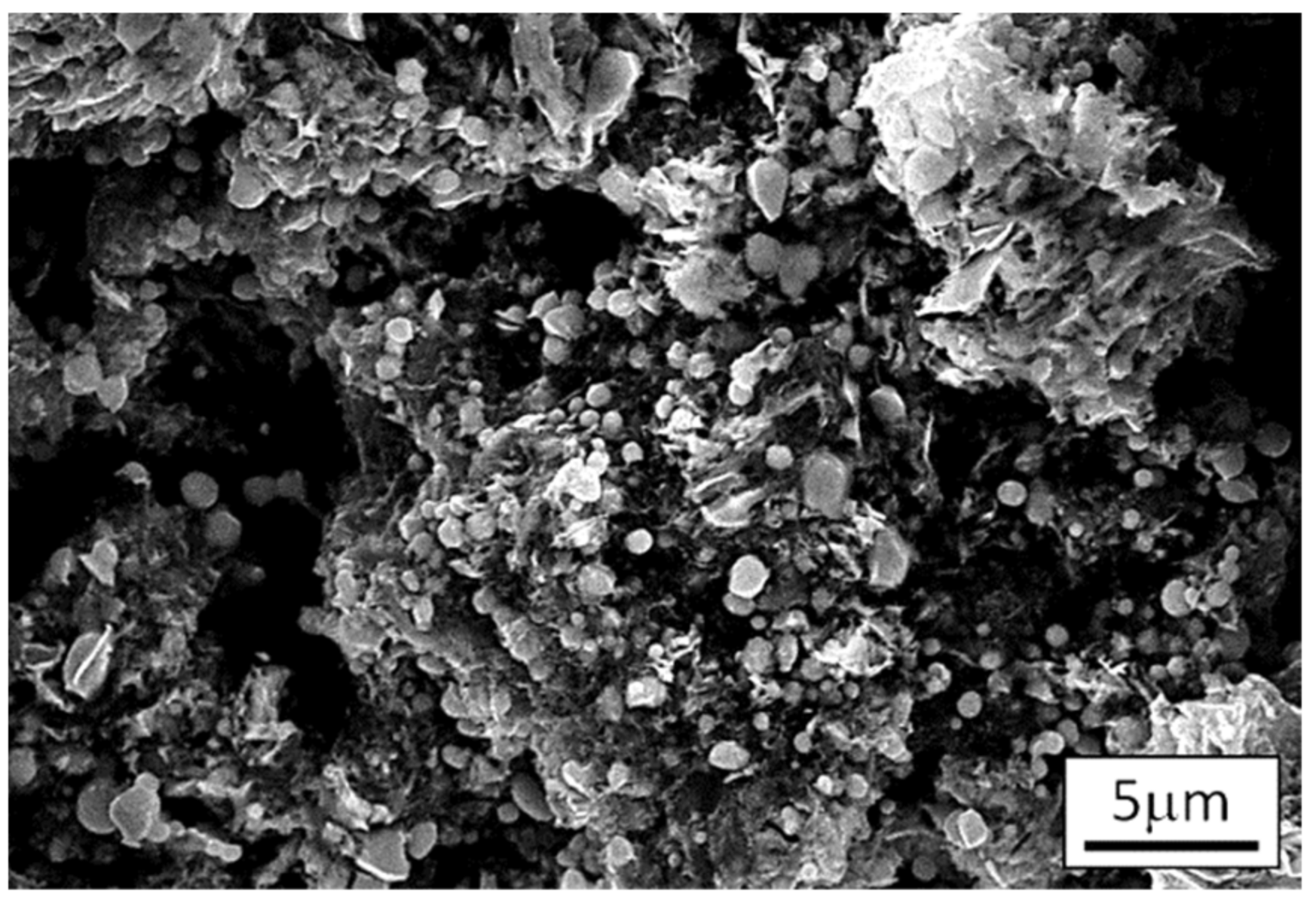 Lubricants 10 00114 g006