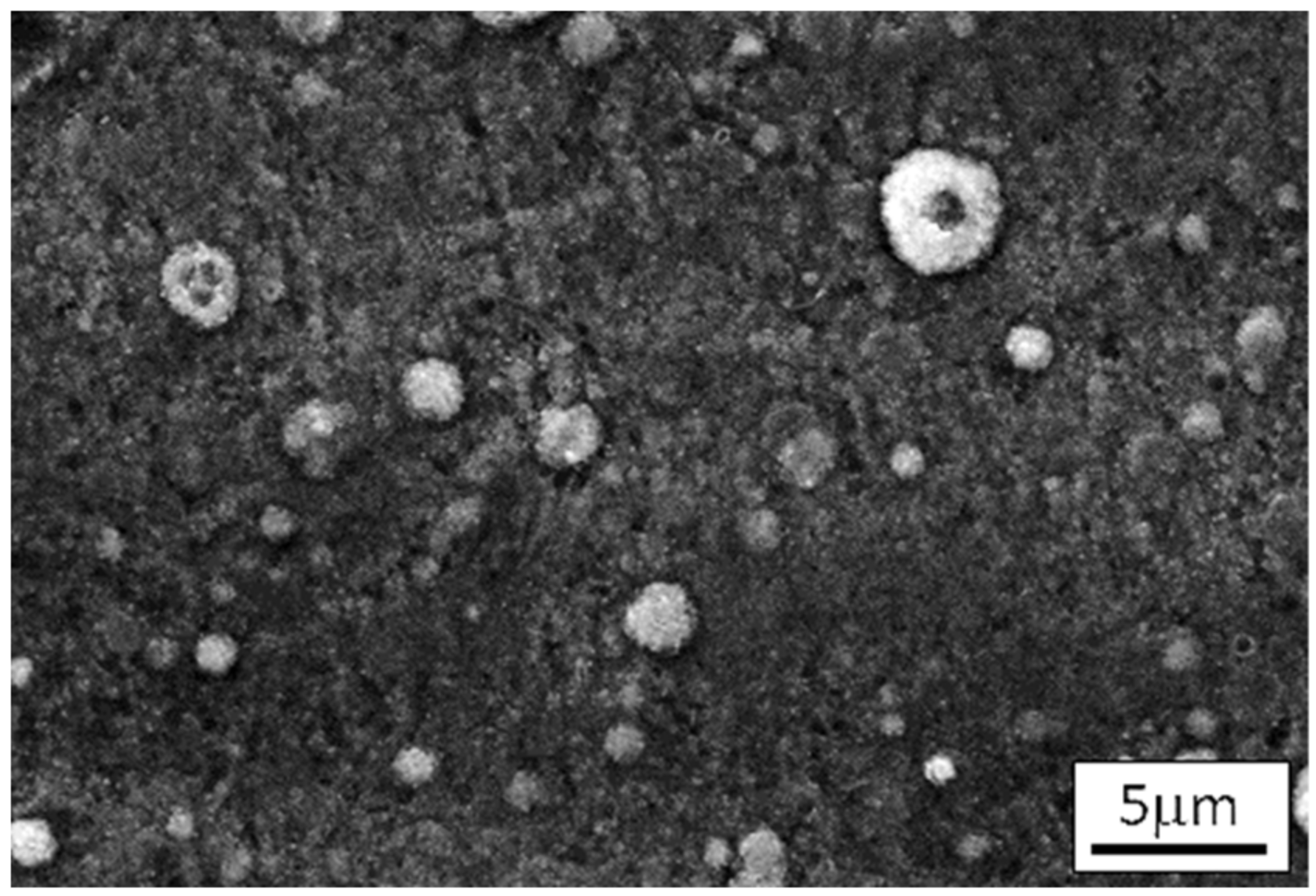 Lubricants 10 00114 g008