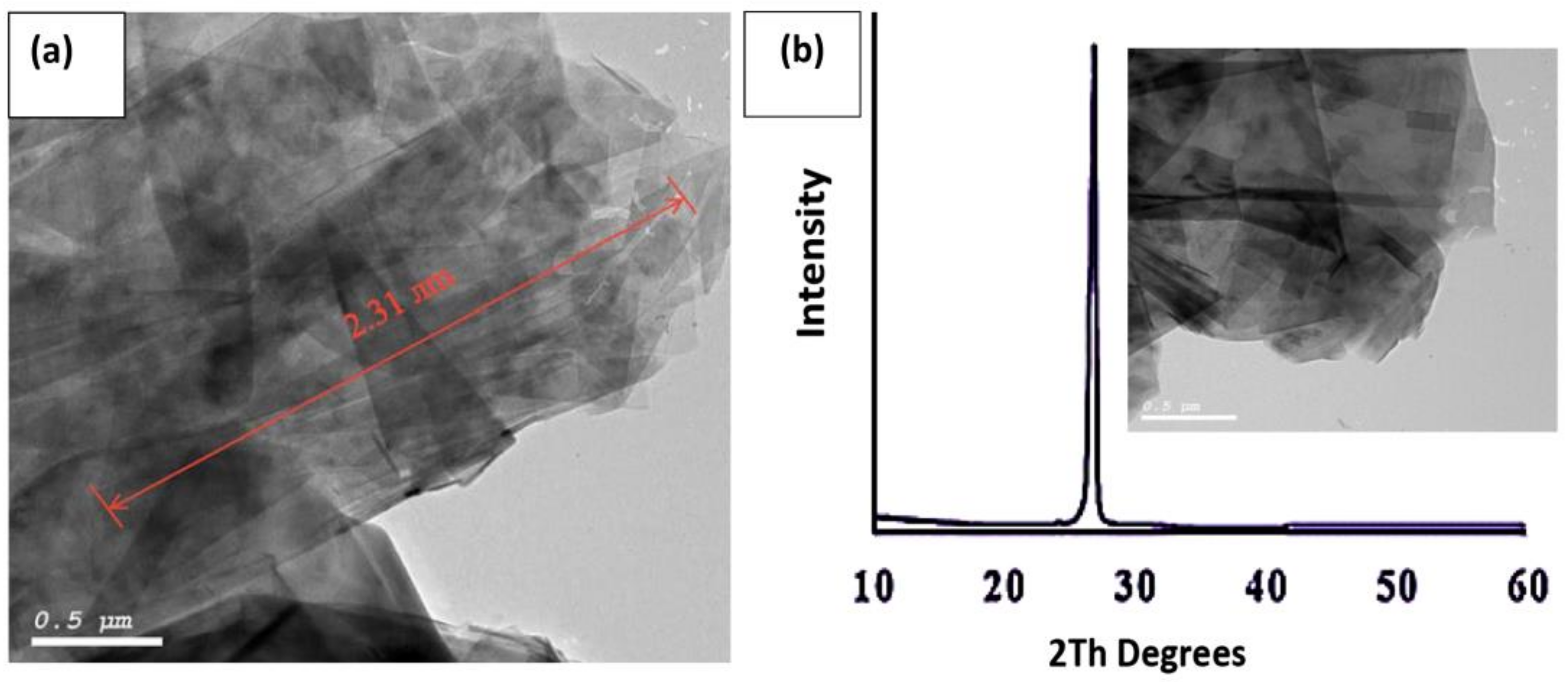 Lubricants 10 00137 g002