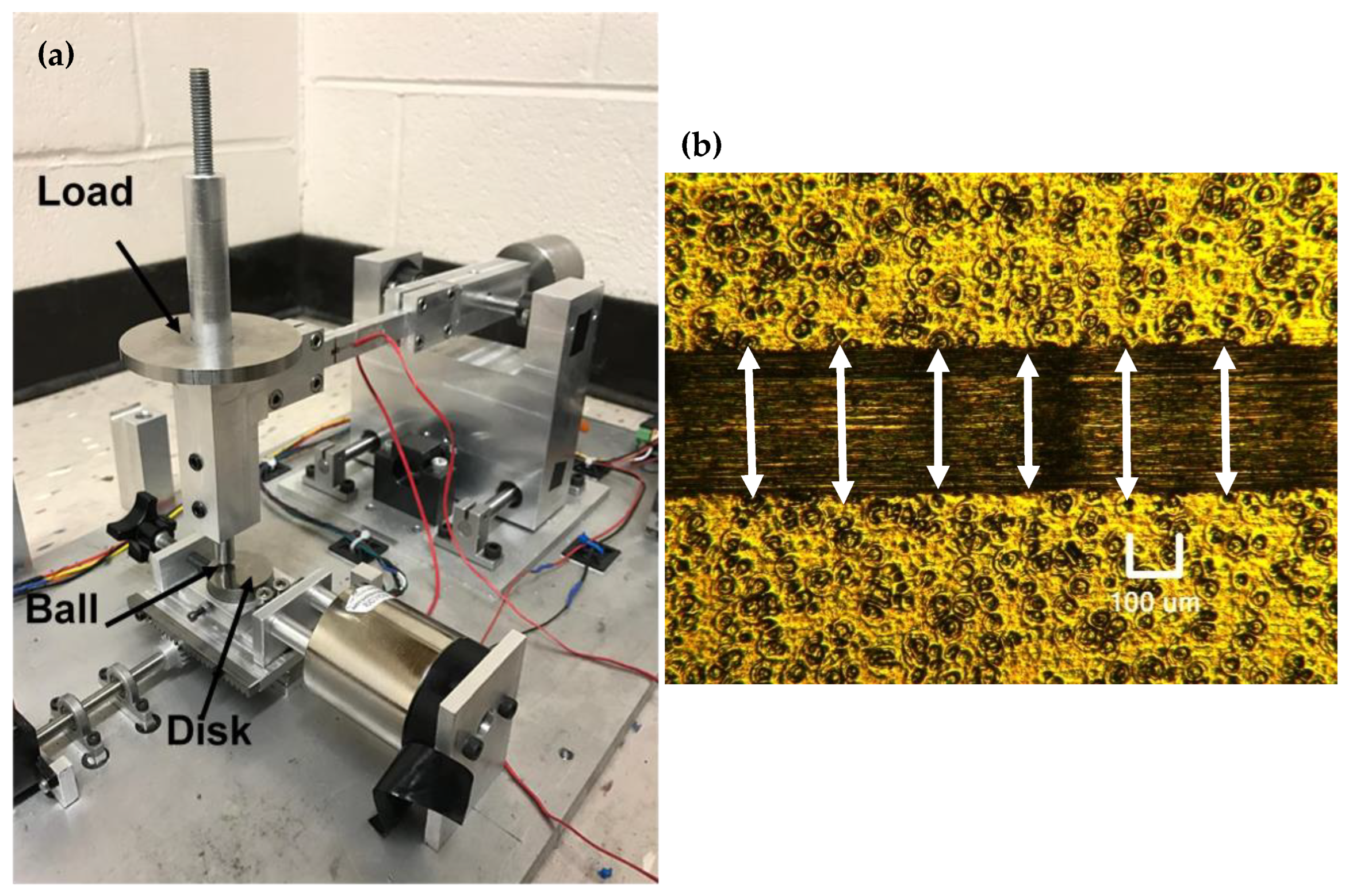 Lubricants 10 00138 g003