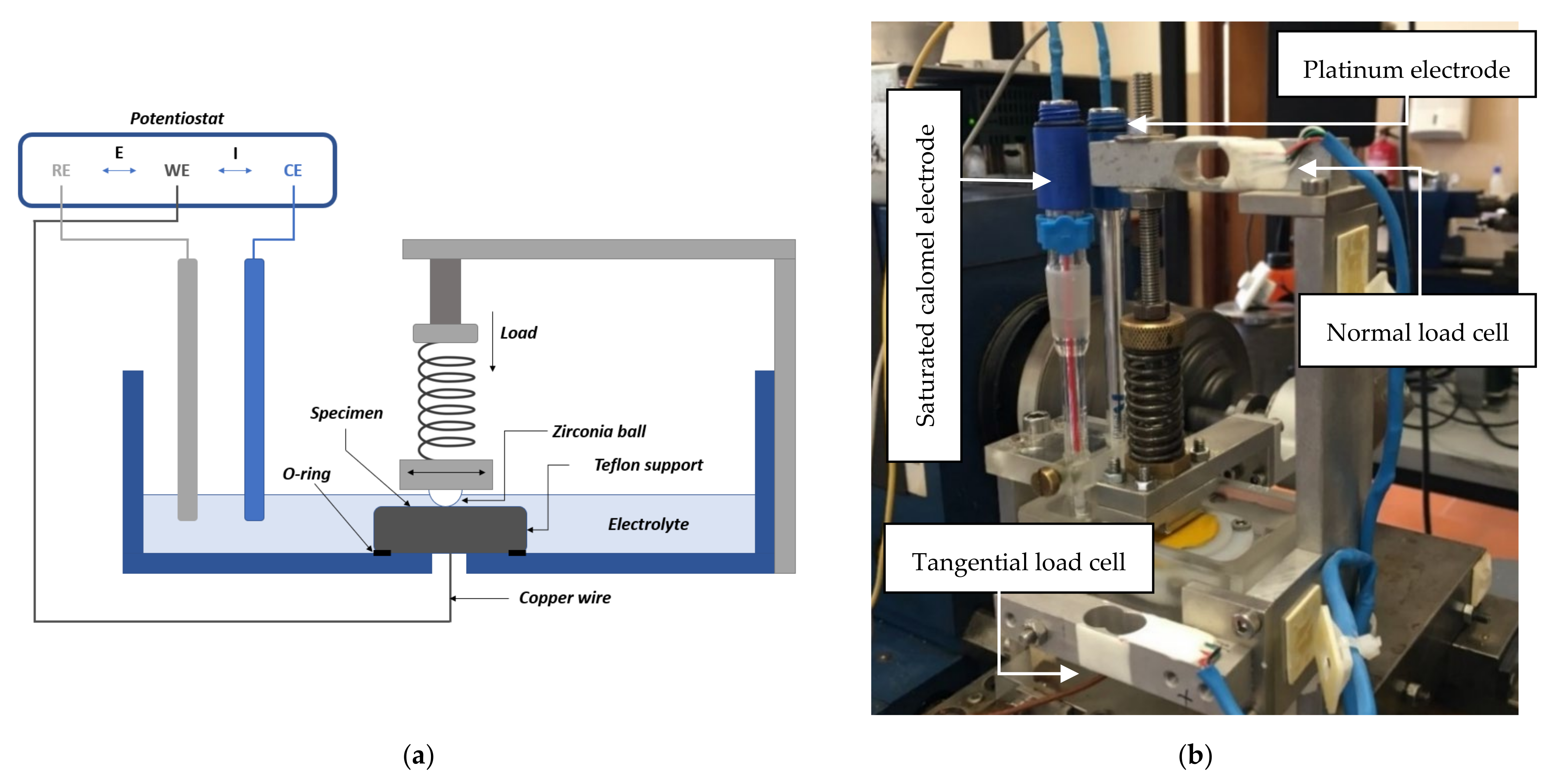 Lubricants 10 00145 g003