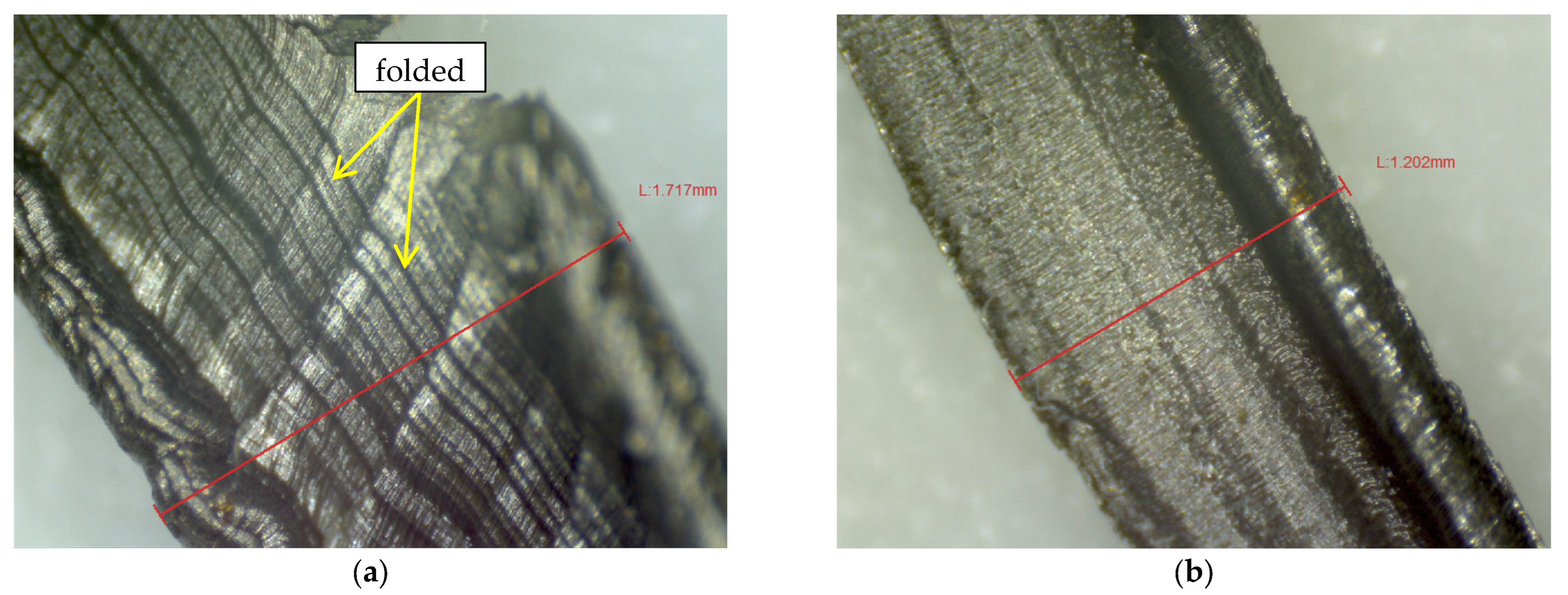 Lubricants 10 00173 g006