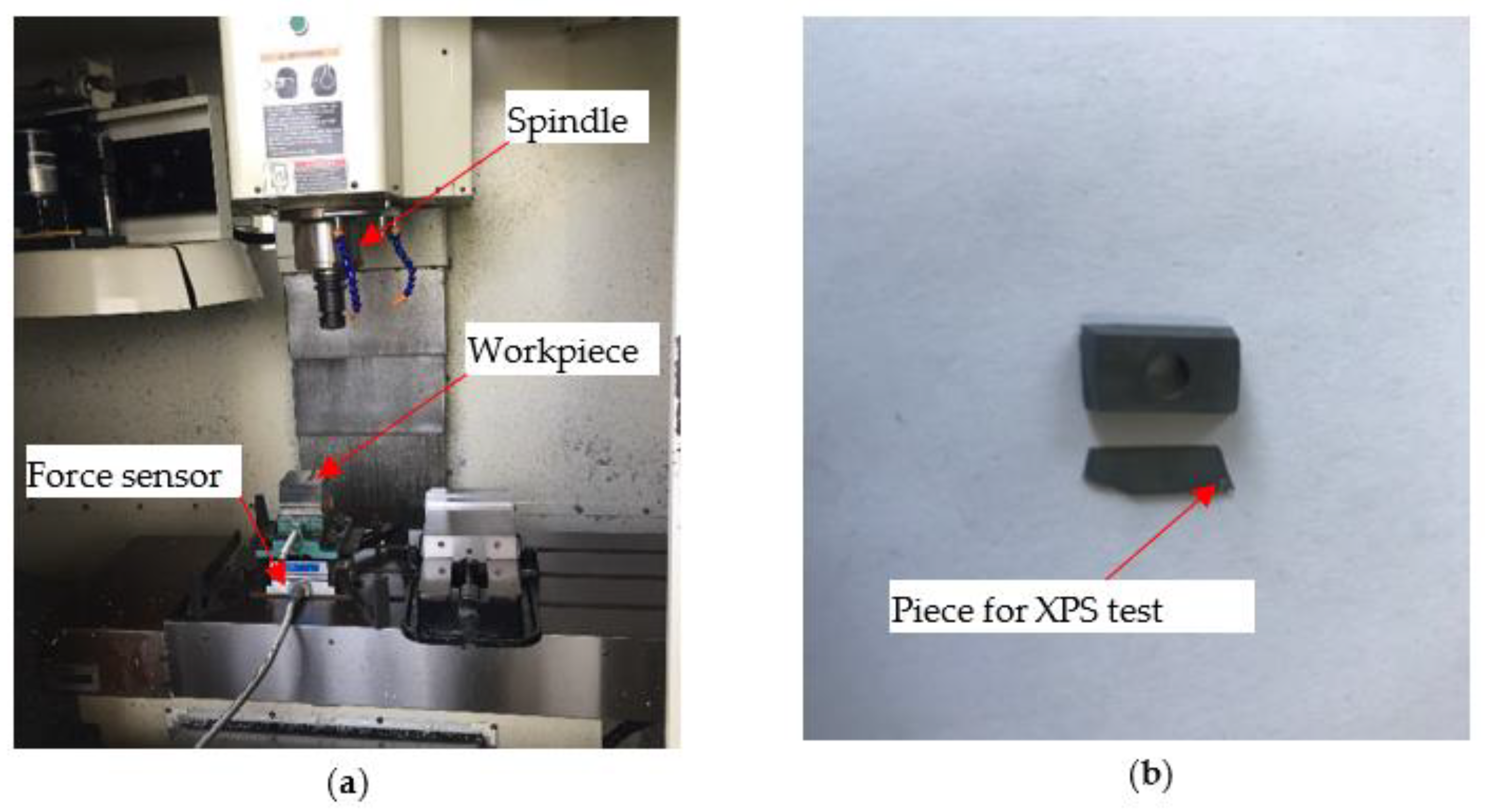 Lubricants 10 00189 g001