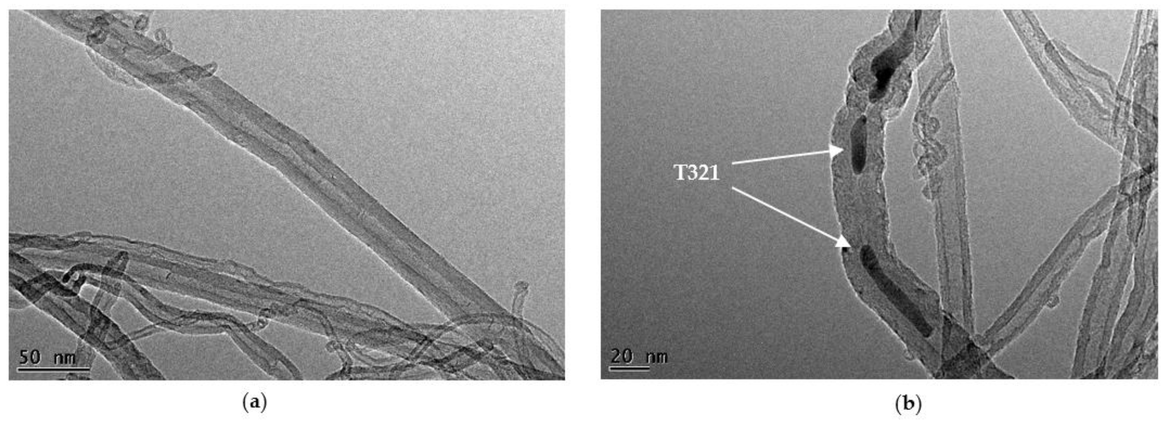 Lubricants 10 00189 g002