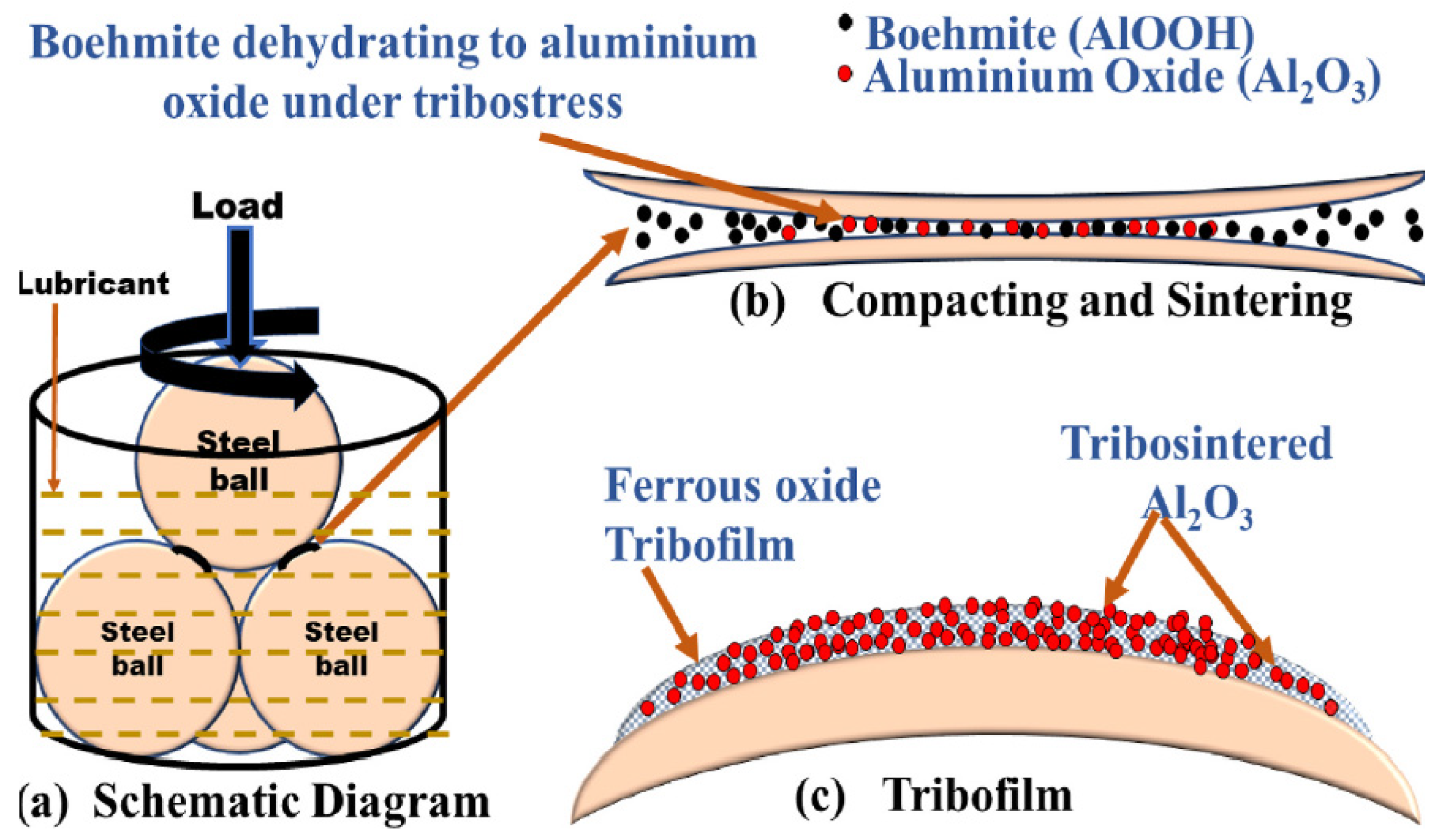 Lubricants 10 00196 g005