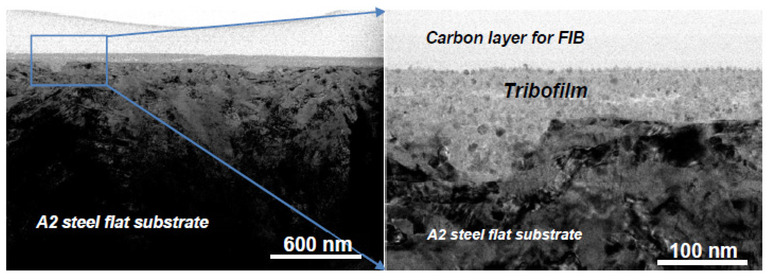 Lubricants 10 00196 g006