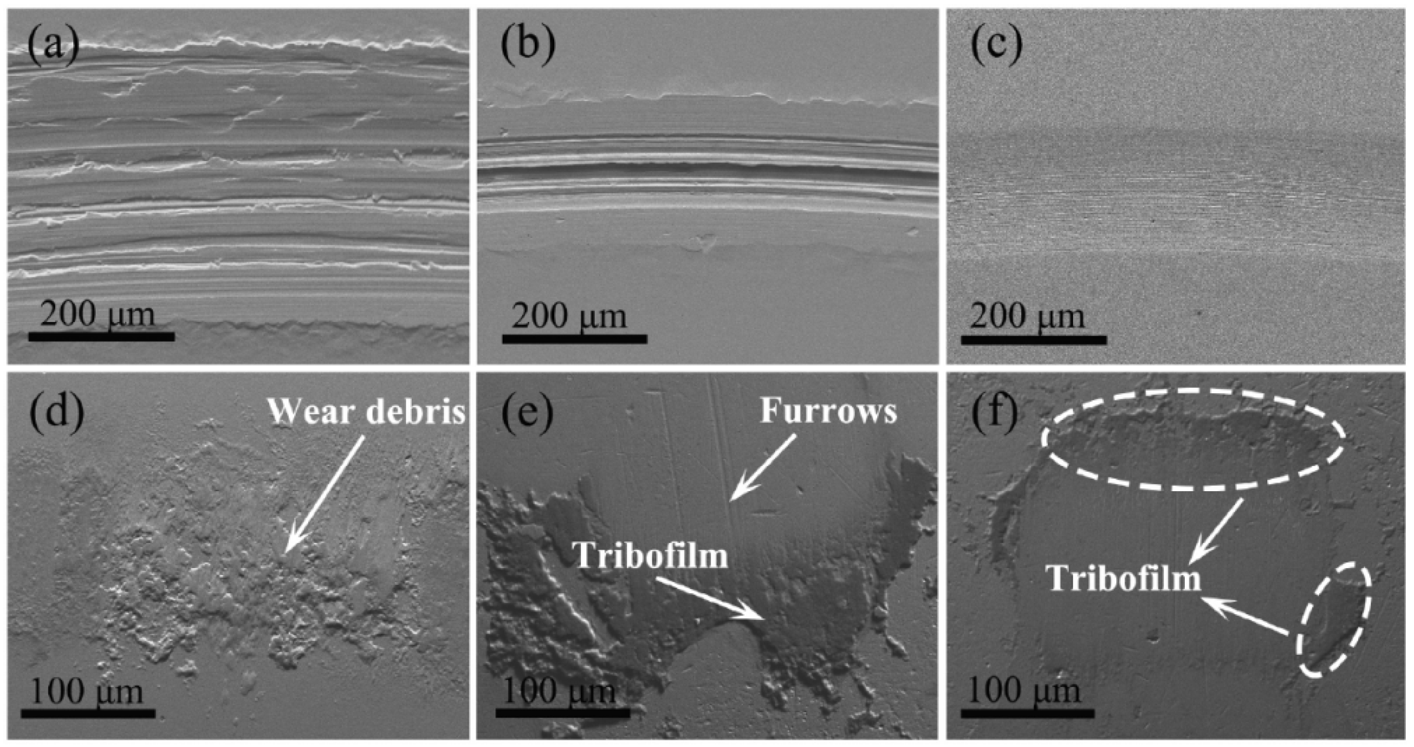 Lubricants 10 00196 g009