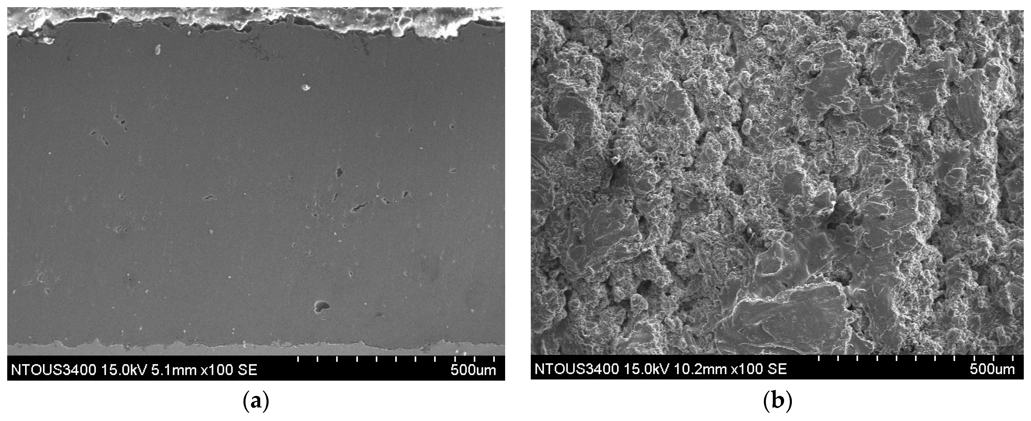 Lubricants 10 00197 g002