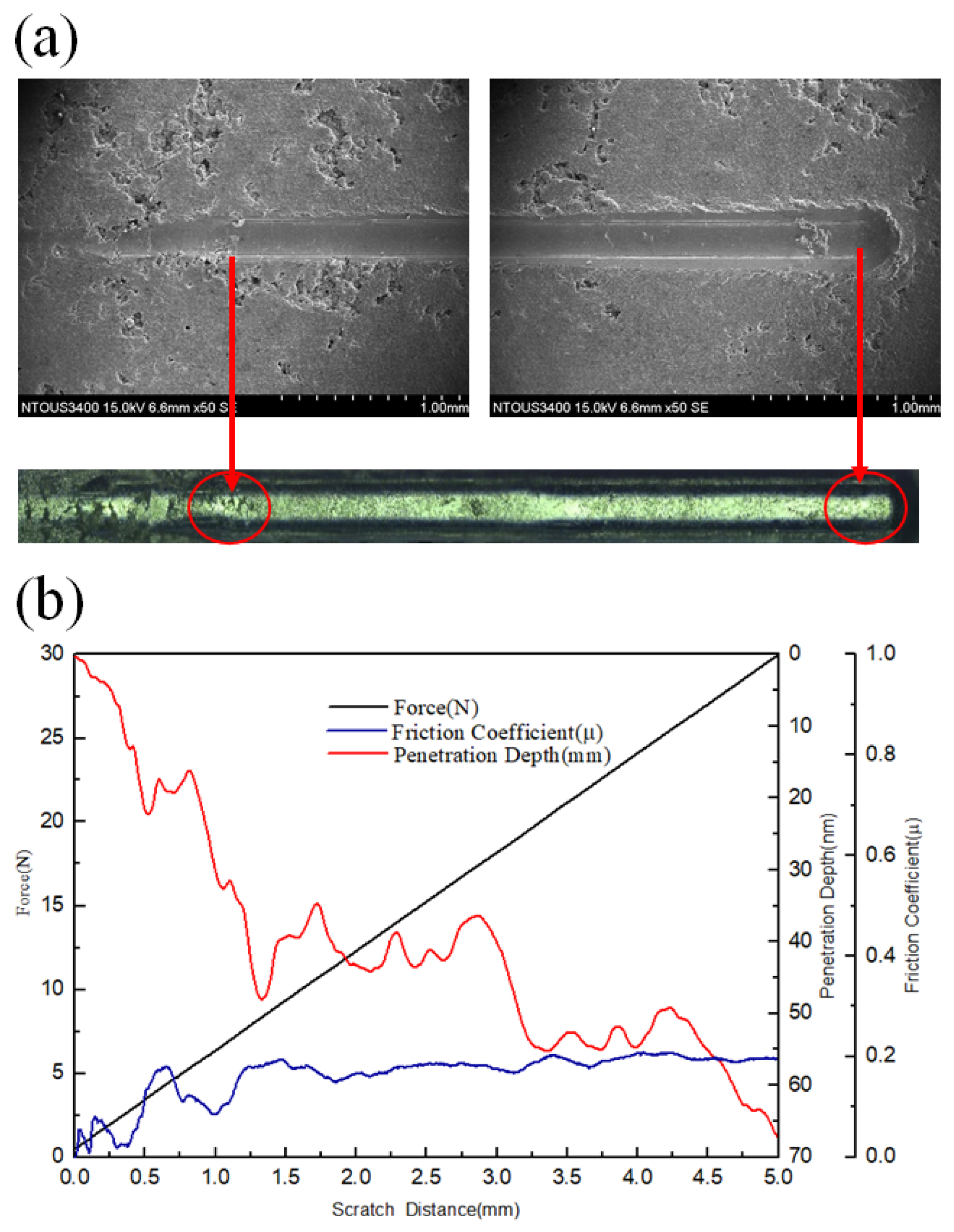 Lubricants 10 00197 g004
