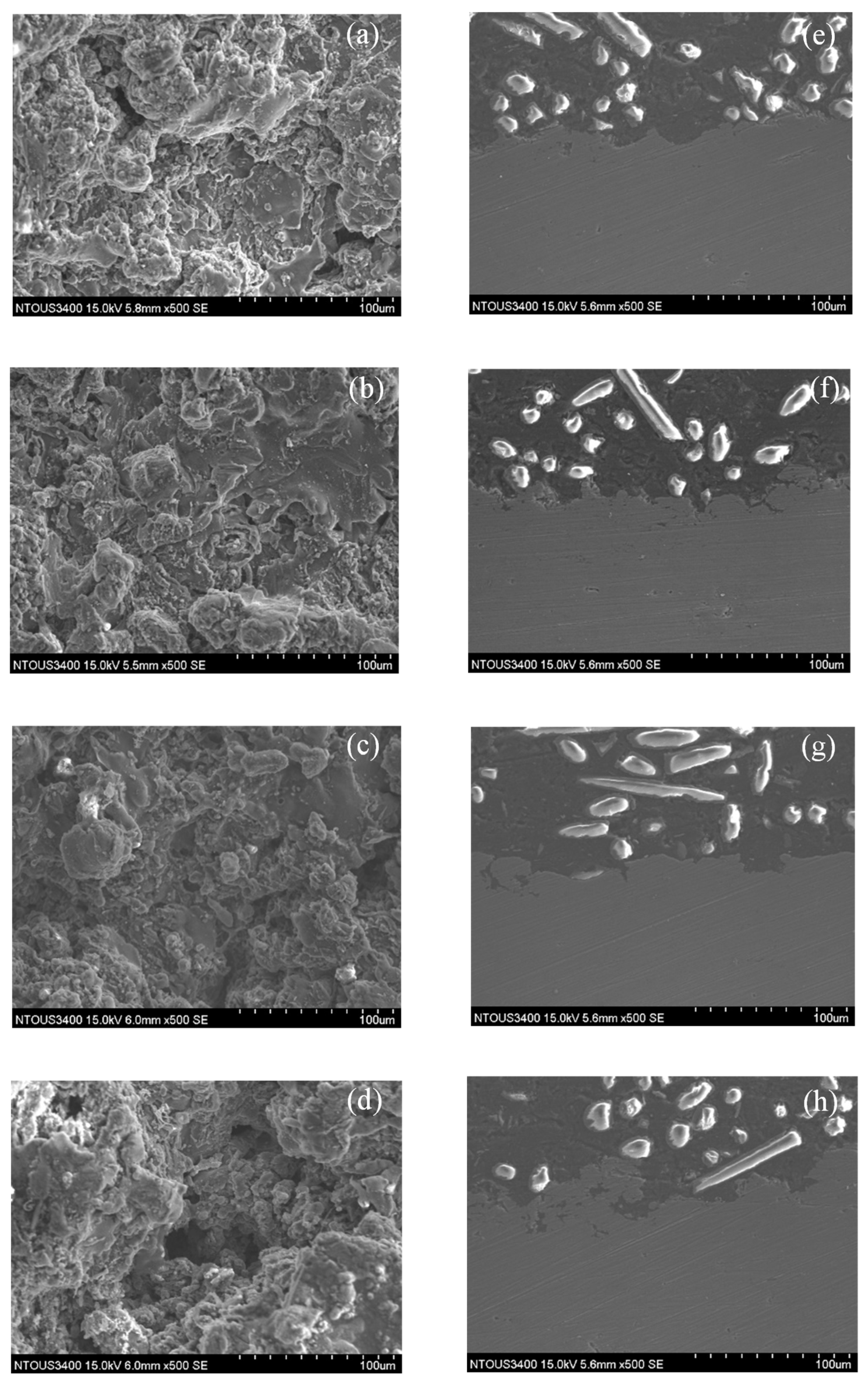 Lubricants 10 00197 g006