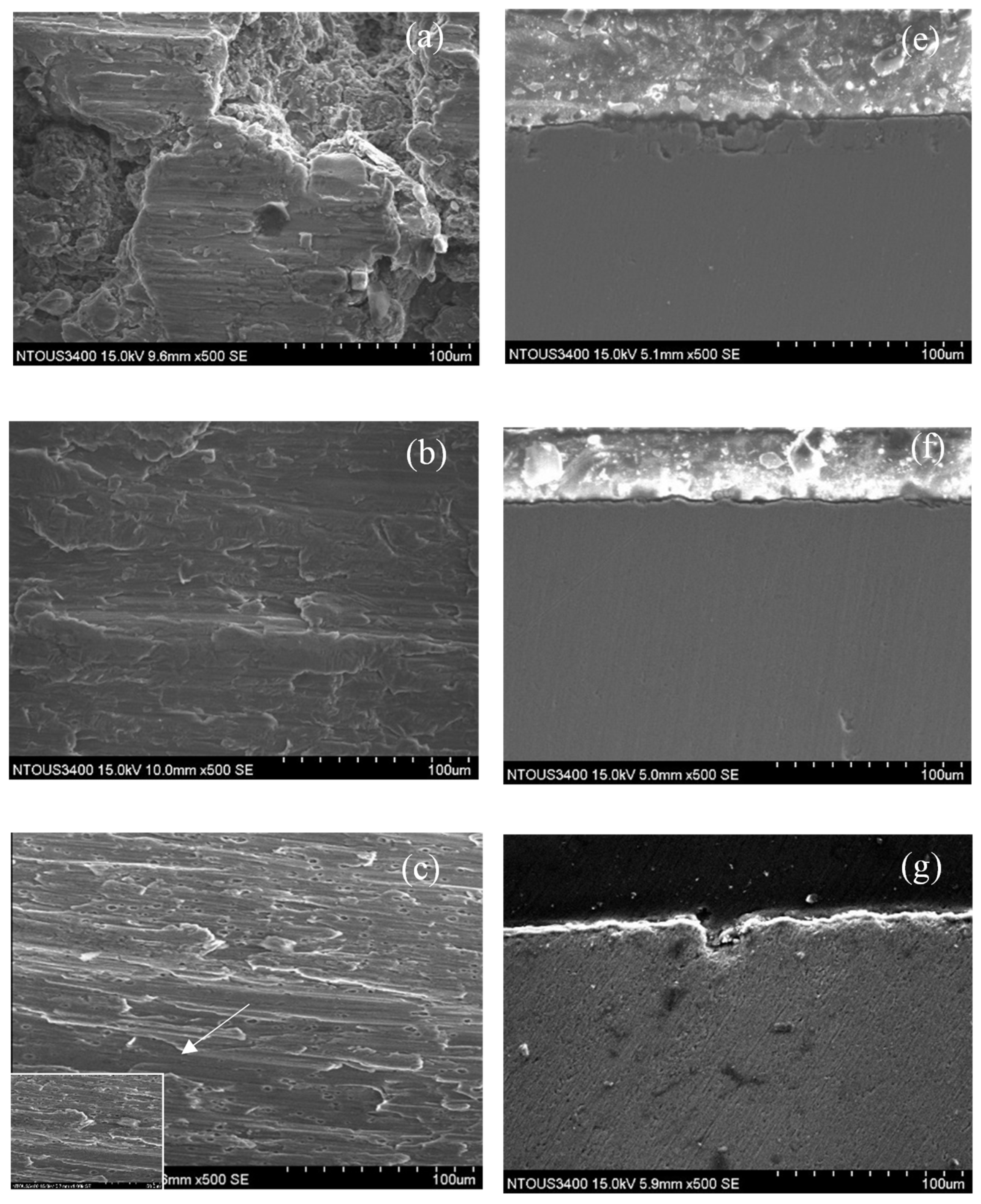 Lubricants 10 00197 g007a