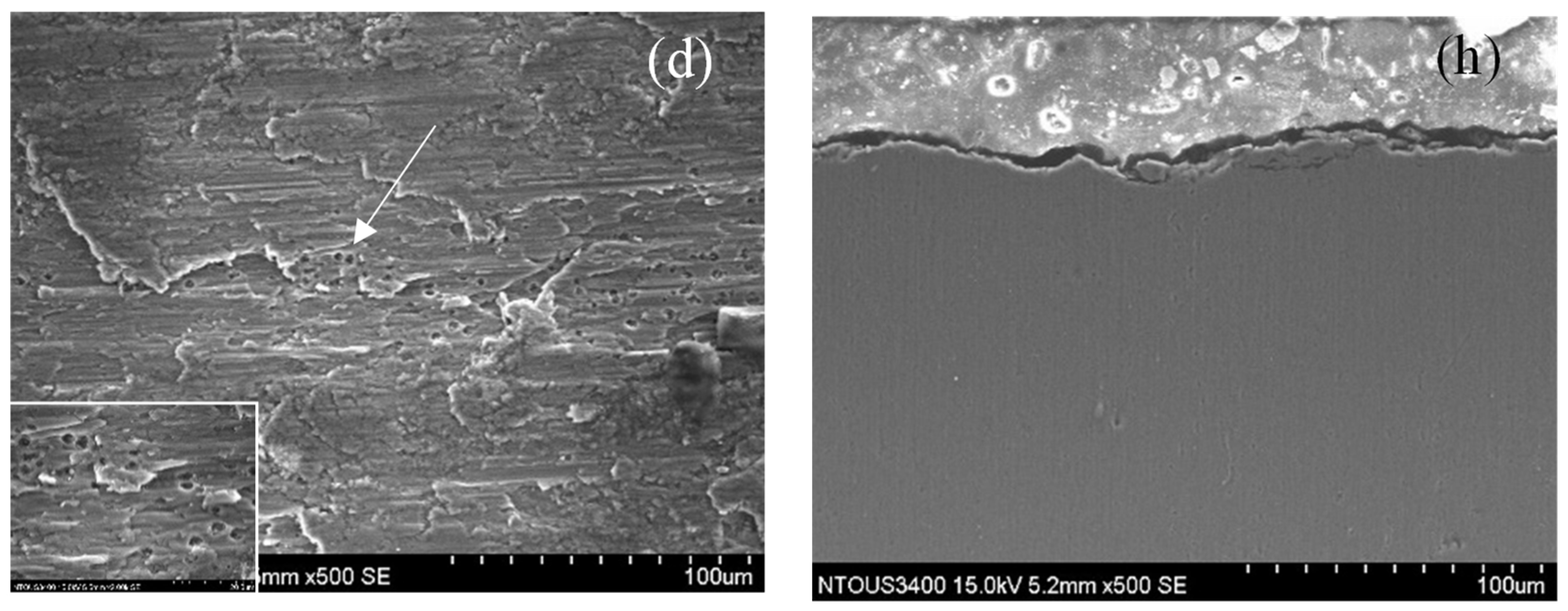 Lubricants 10 00197 g007b