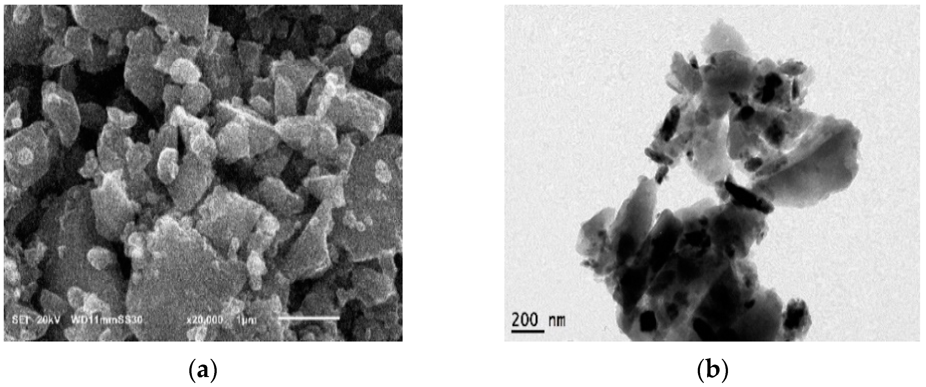 Lubricants 10 00214 g003 Lubricants 10 00214 g003