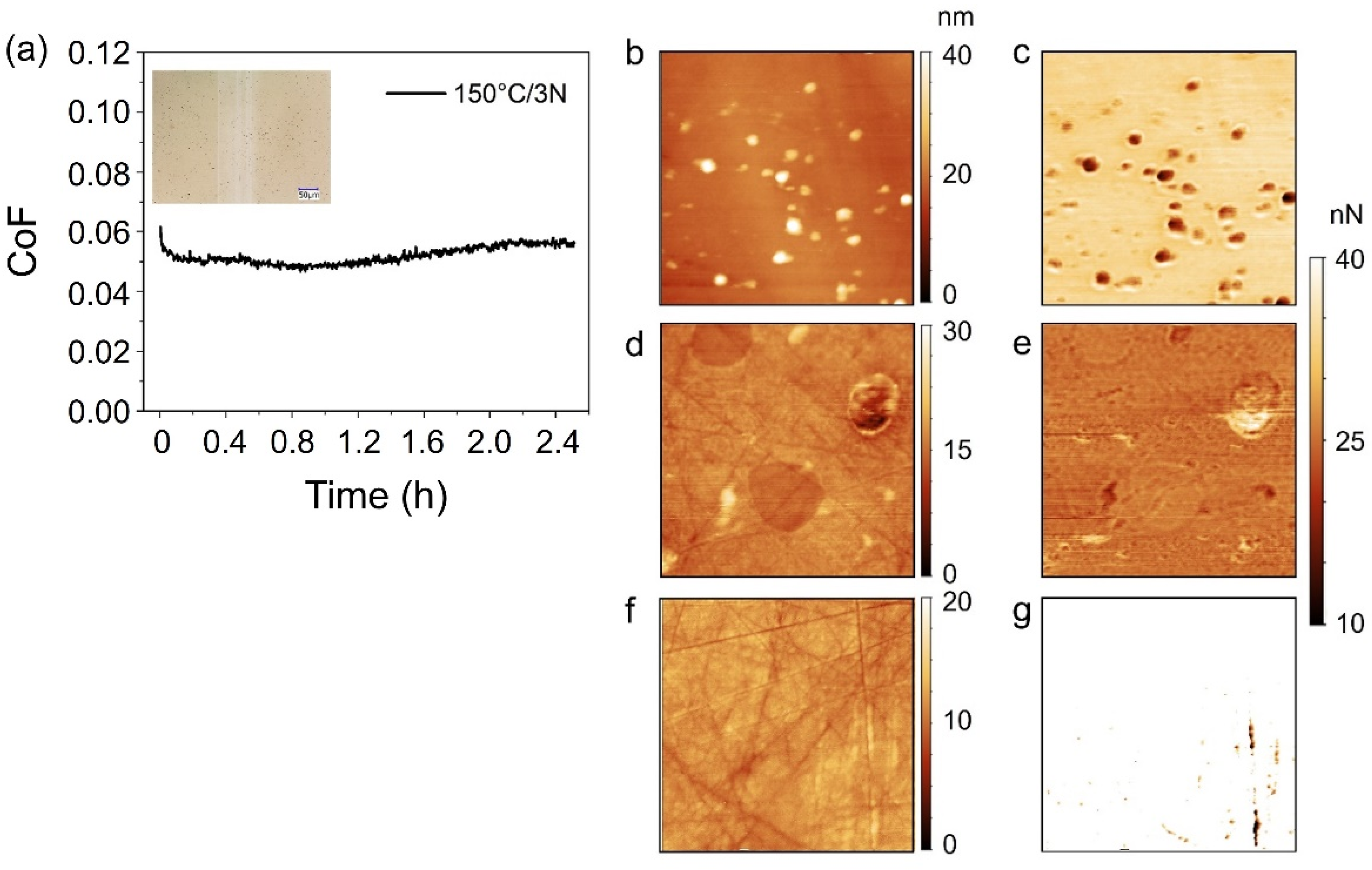 Lubricants 10 00253 g005