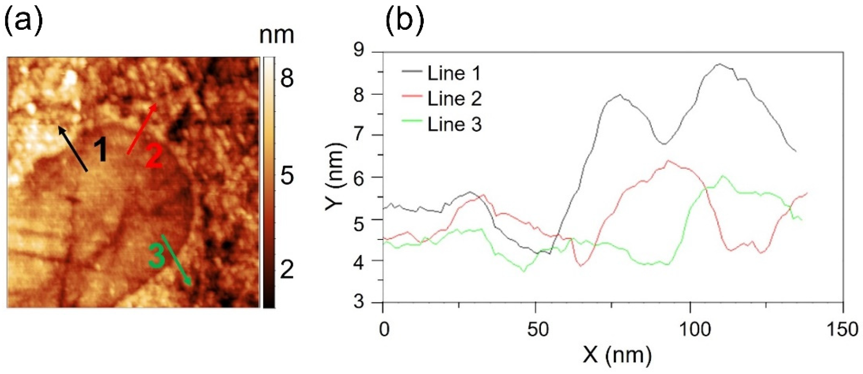 Lubricants 10 00253 g006