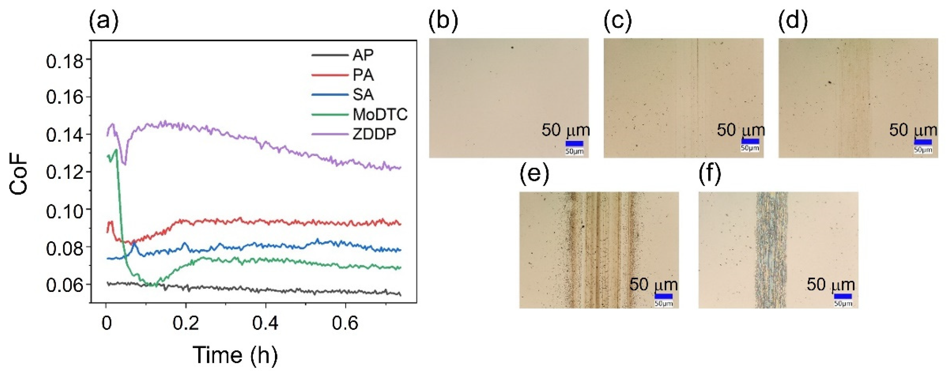 Lubricants 10 00253 g008