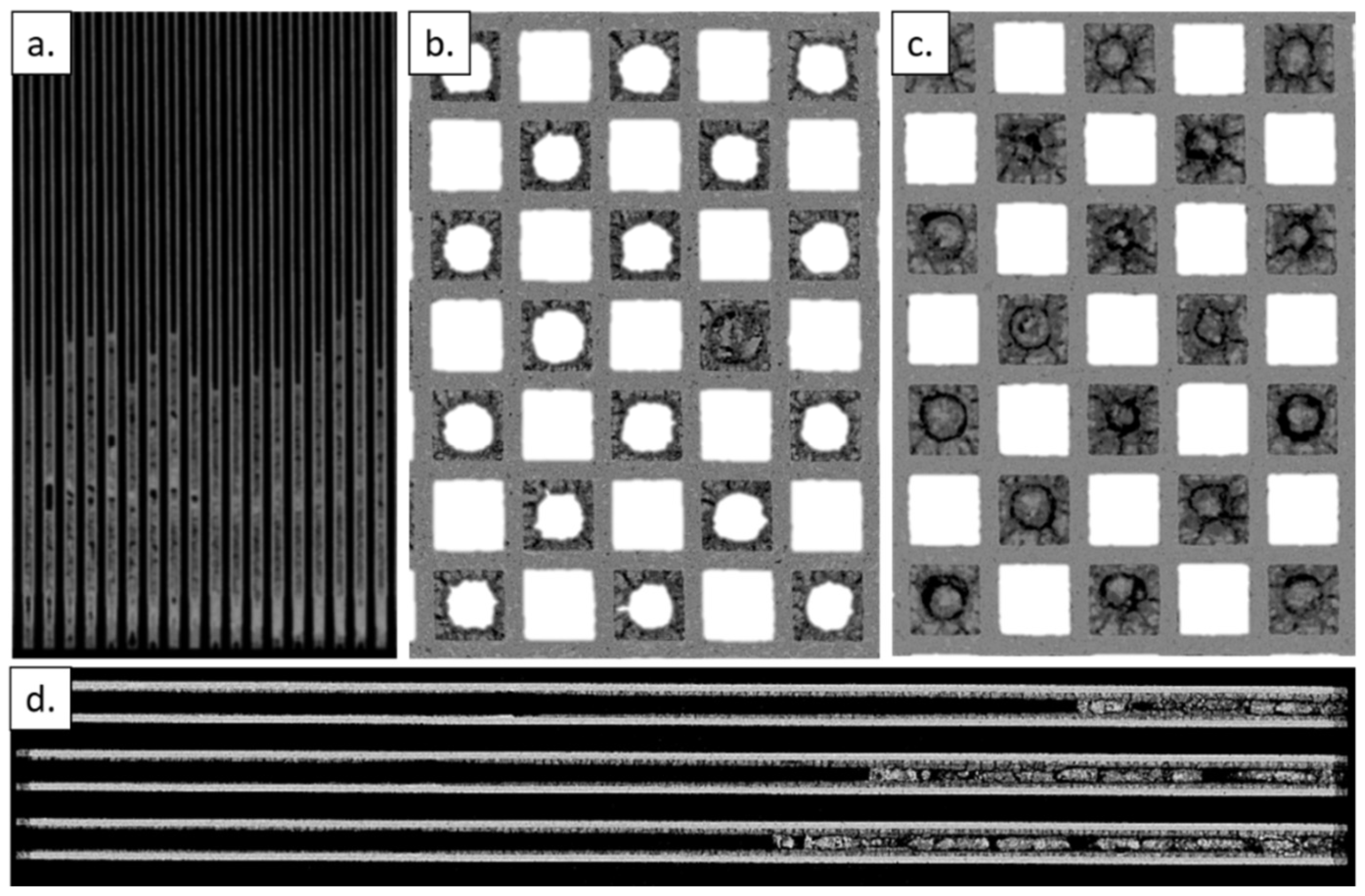 Lubricants 10 00259 g005