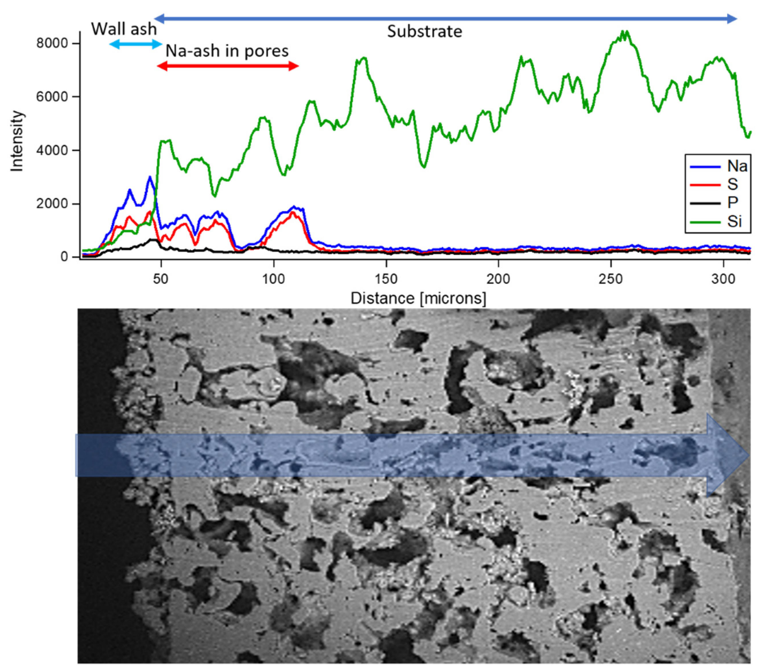 Lubricants 10 00259 g006