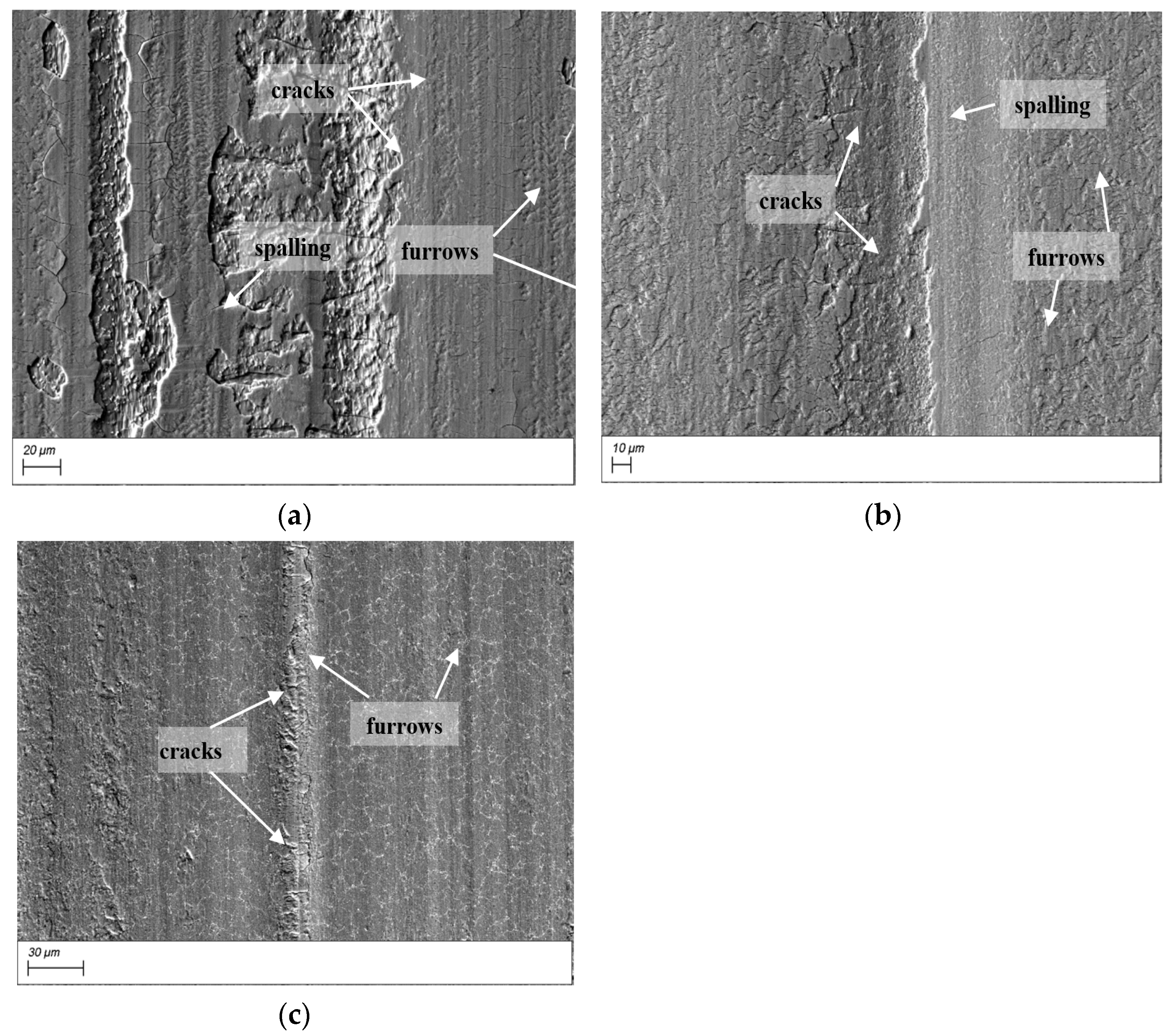 Lubricants 10 00271 g015