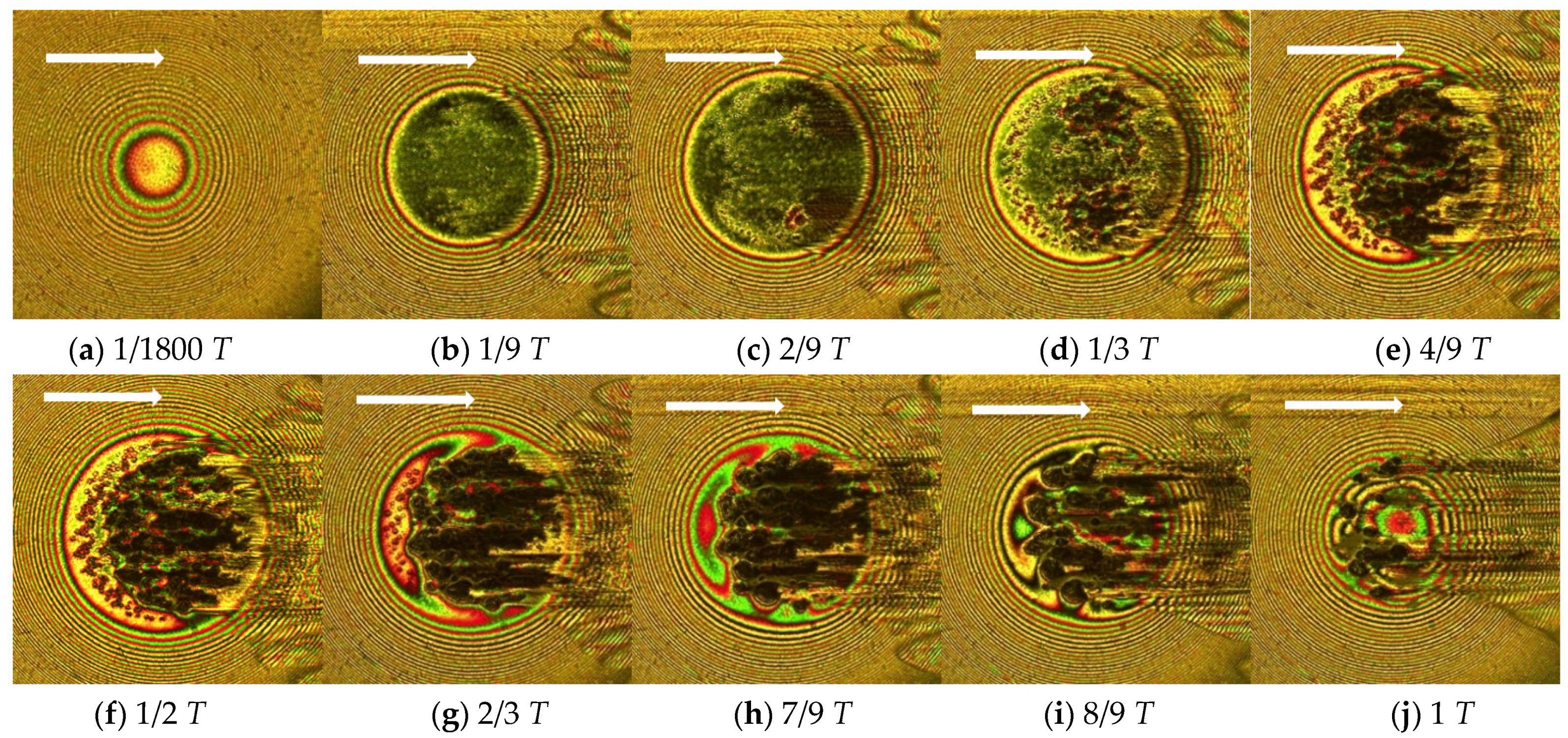 Lubricants 10 00284 g009