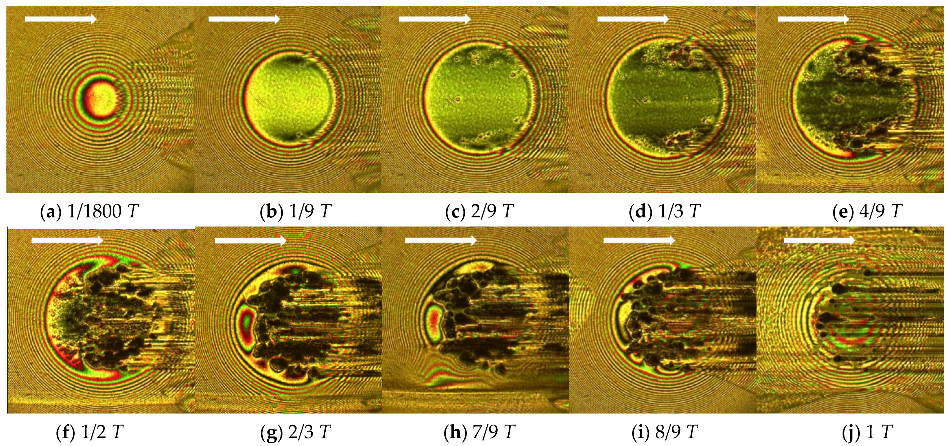 Lubricants 10 00284 g011