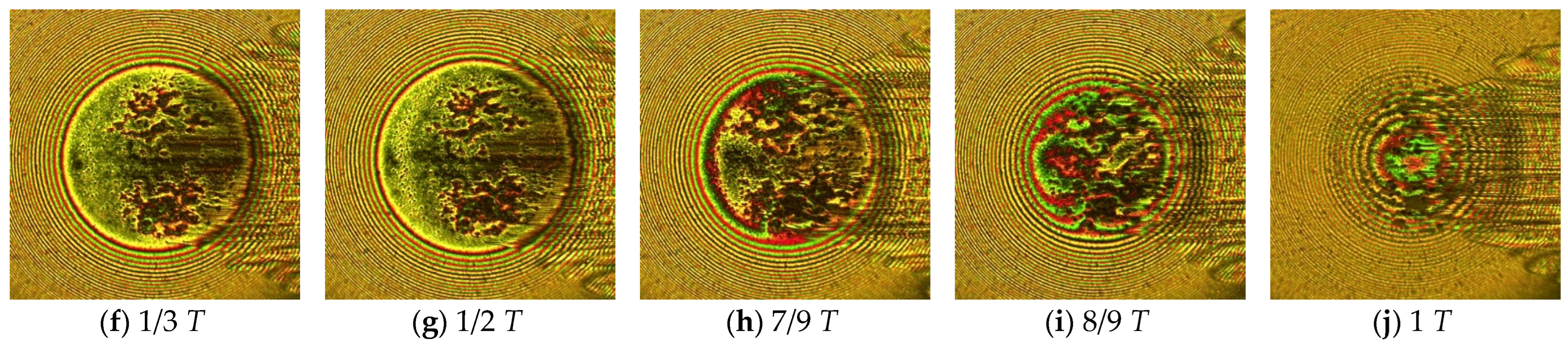 Lubricants 10 00284 g015b