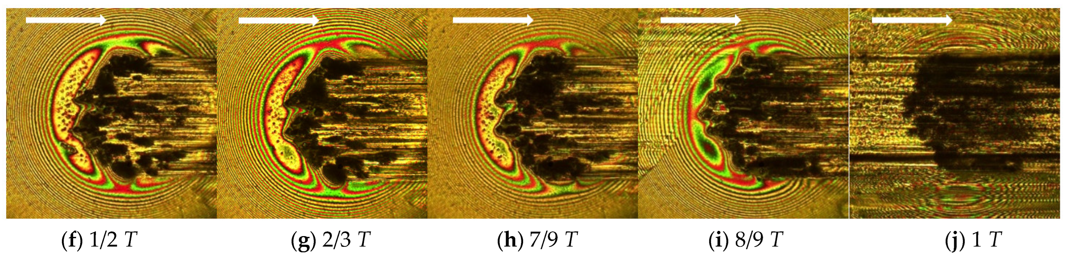 Lubricants 10 00284 g017b