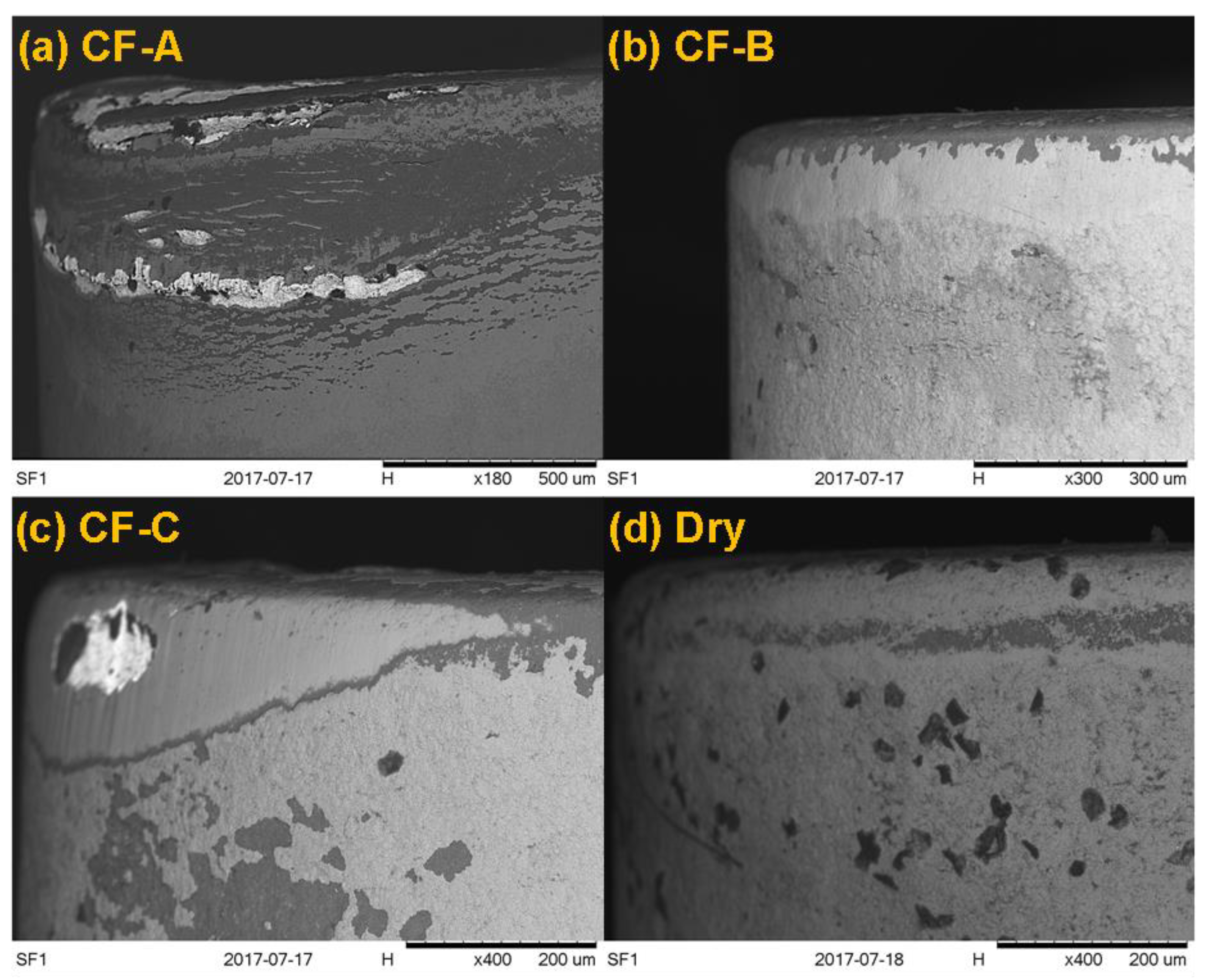 Lubricants 10 00309 g010