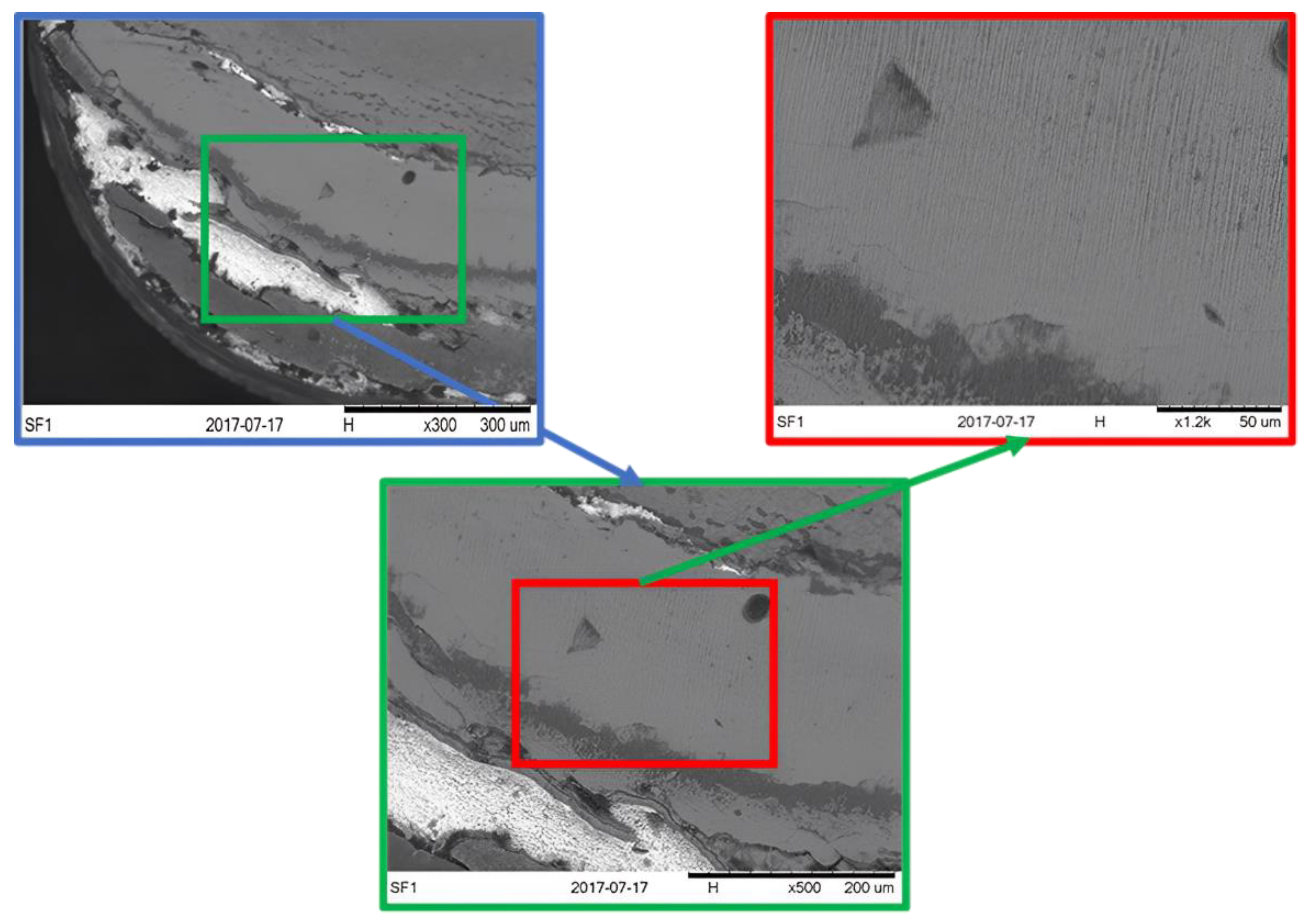 Lubricants 10 00309 g011